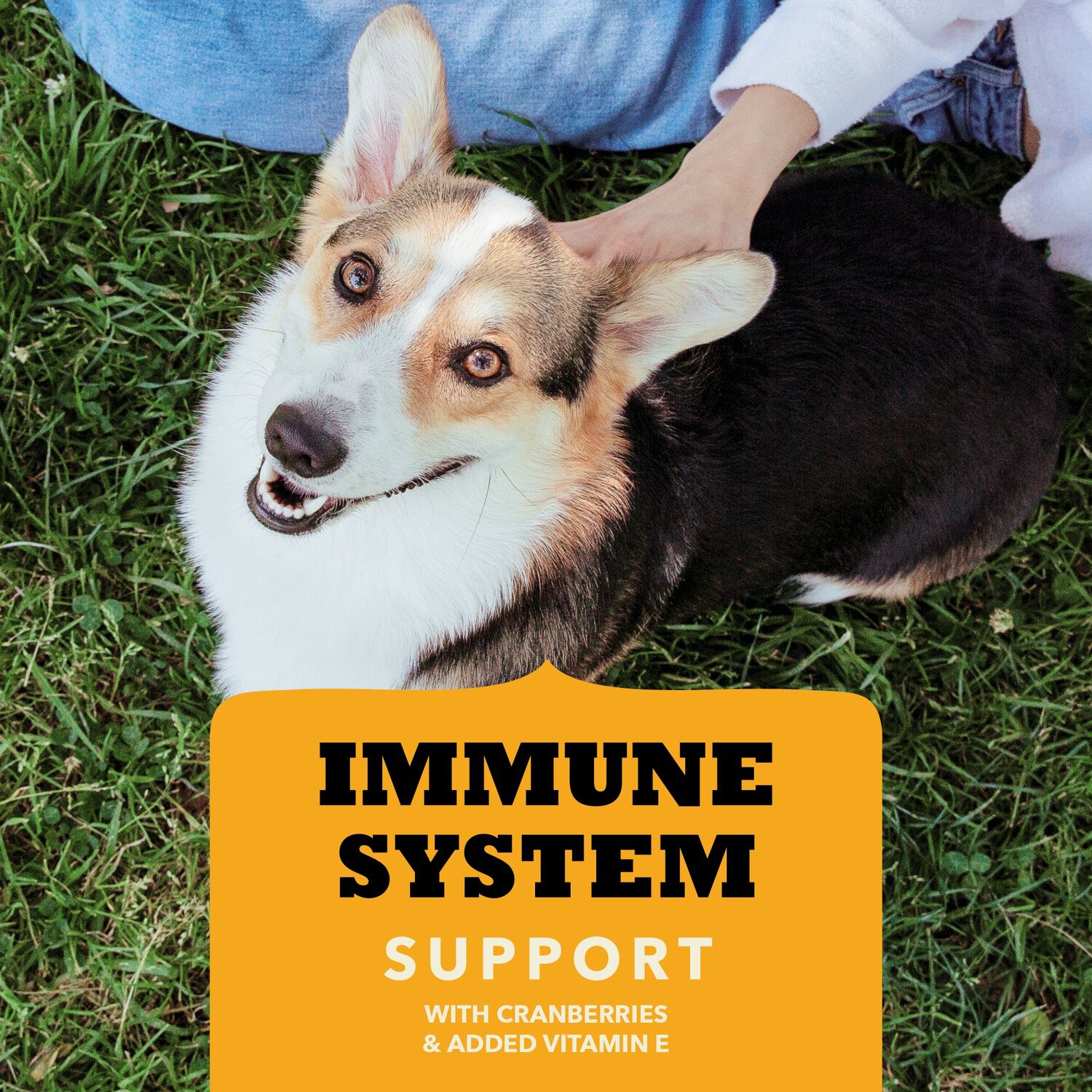 Acana Chewy Strips Immune System Support Dog Treats, Chicken Recipe, 4Oz