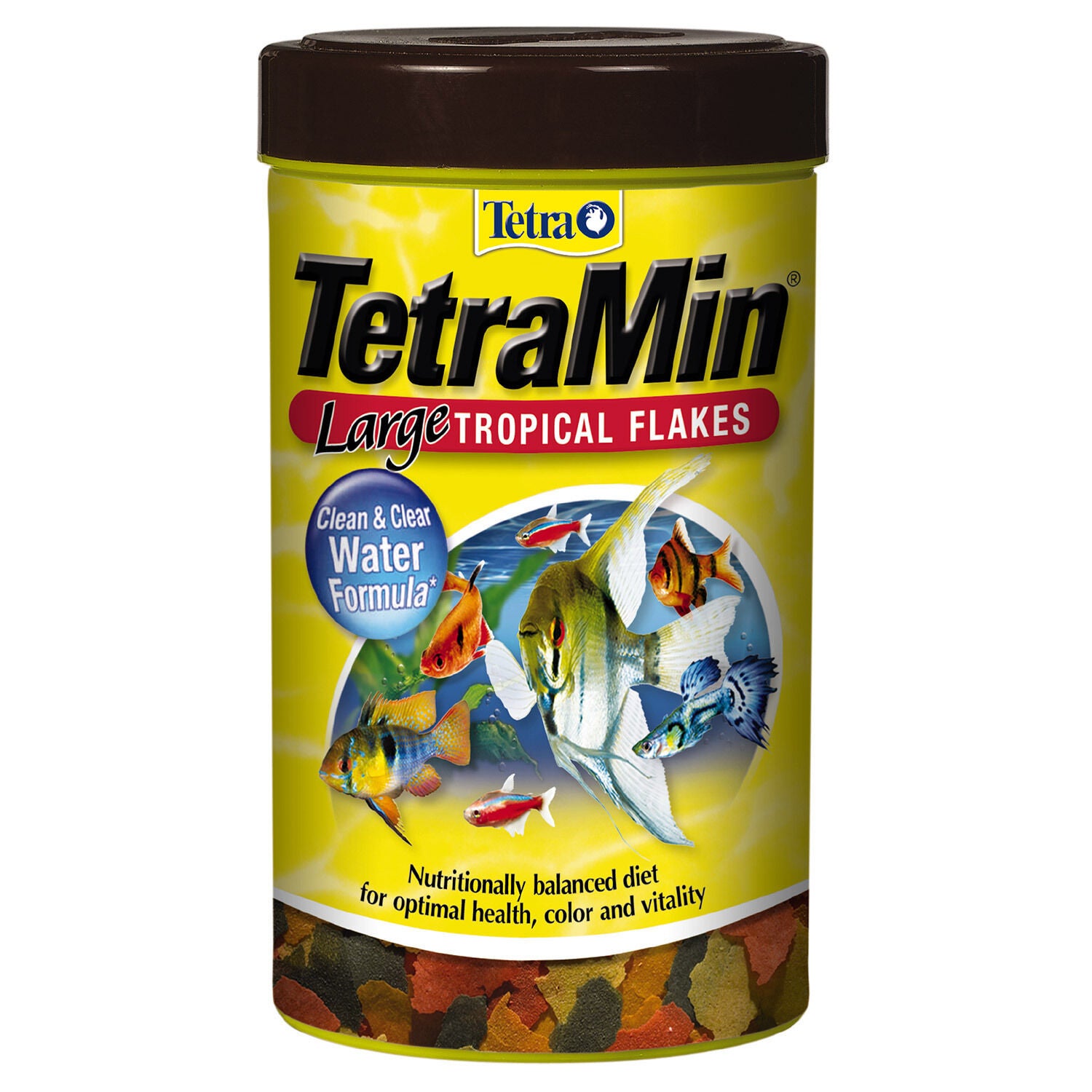 Tetra Tetramin Large Tropical Flakes Fish Food