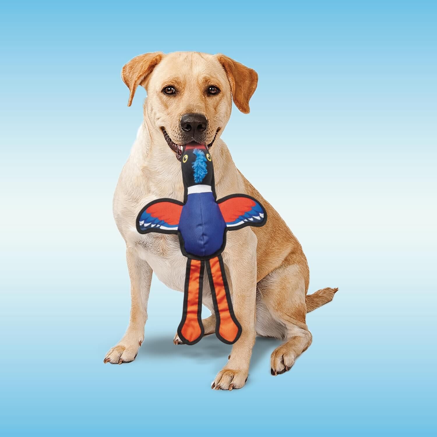 Spot Love The Earth Ducks Dog Toy, 20", Assorted Variety