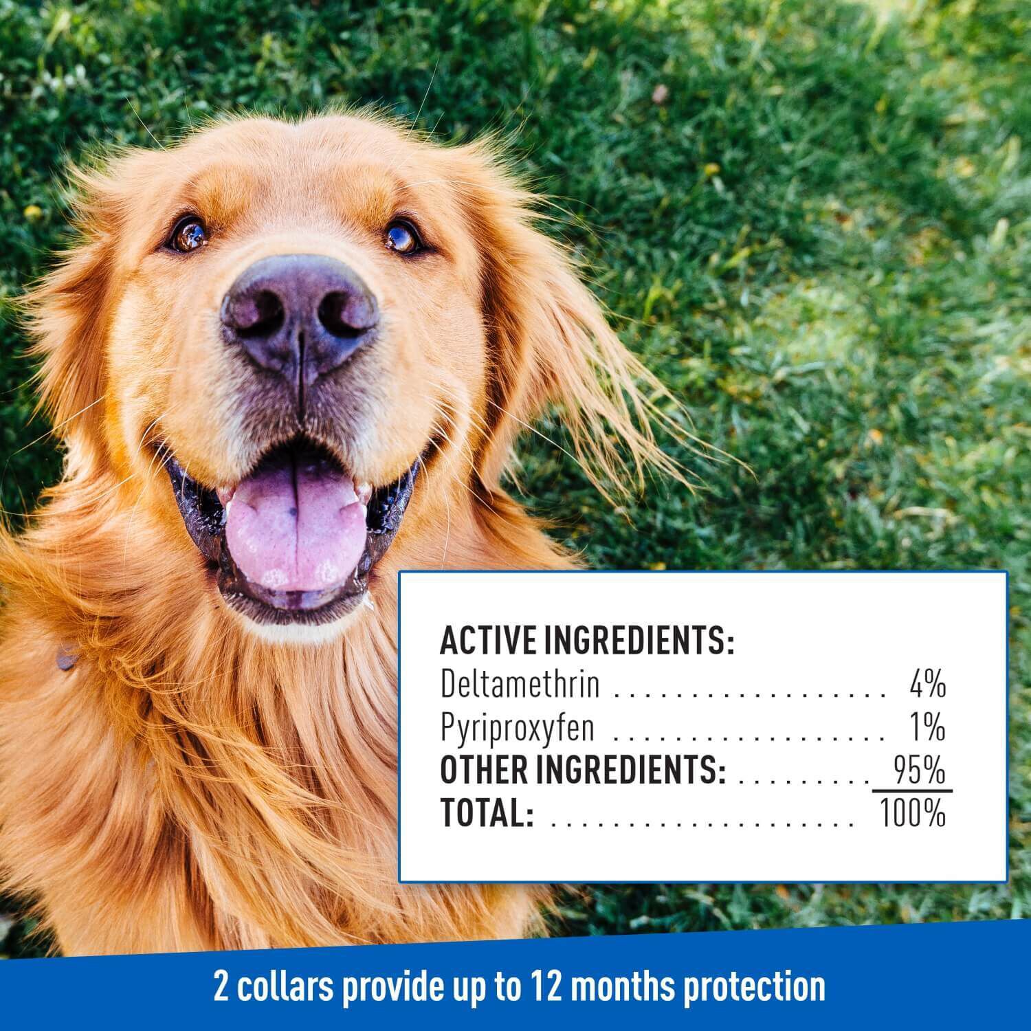 Adams Flea & Tick Collar Plus For Dogs & Puppies
