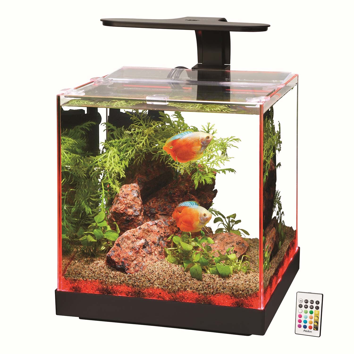 Aqueon Edgelit Rimless Cube Glass Desktop Fish Aquarium 3 Gal