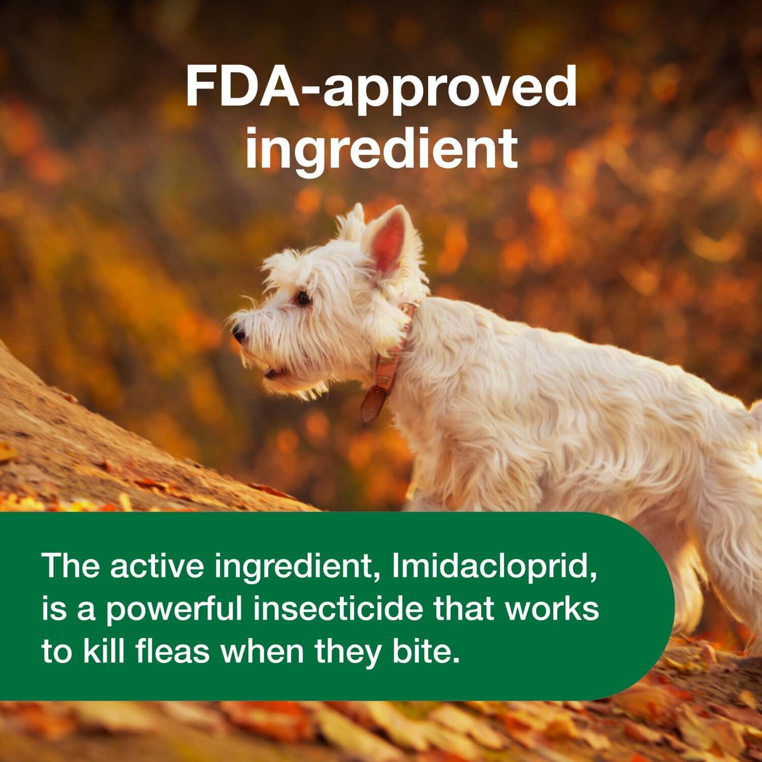 Advantus Oral Flea Treatment For Dogs, 4-22 Lbs