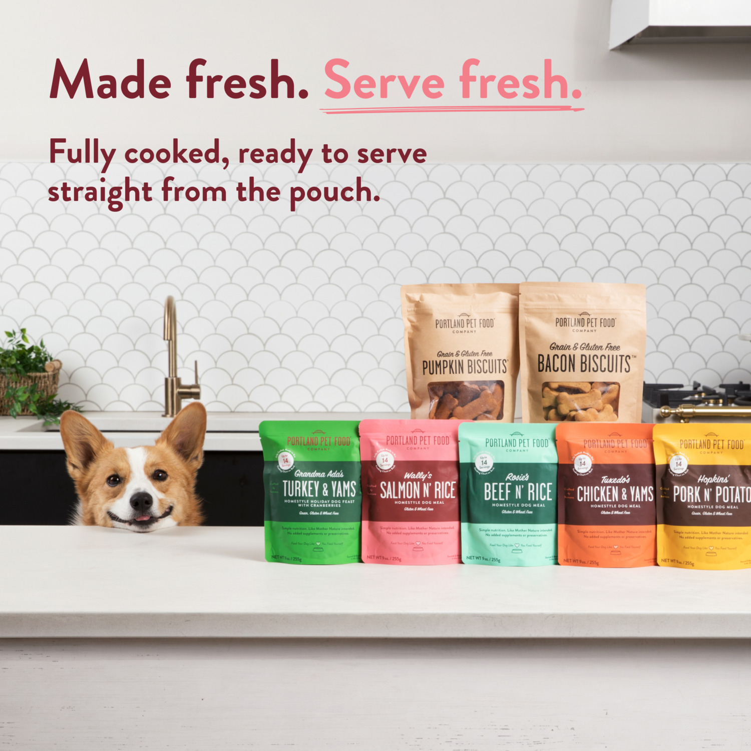 Portland Pet Food Company Wally's Salmon N' Rice Homestyle Gently Cooked Wet Dog Food