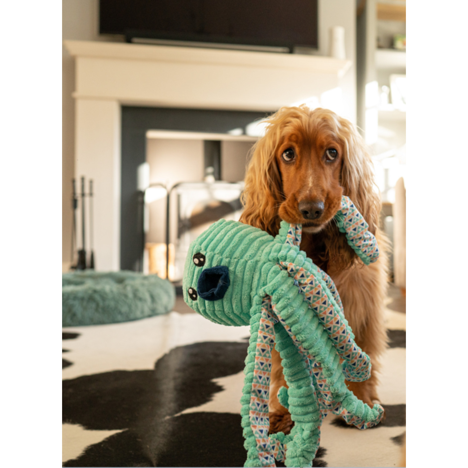 Great & Small Cuddle Me Knot Plush Octopus Squeaky Dog Toy