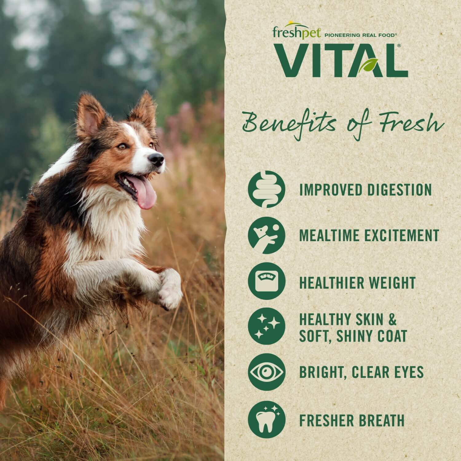 Freshpet Vital Grain Free Fresh Dog Food, Beef & Bison Roll Recipe