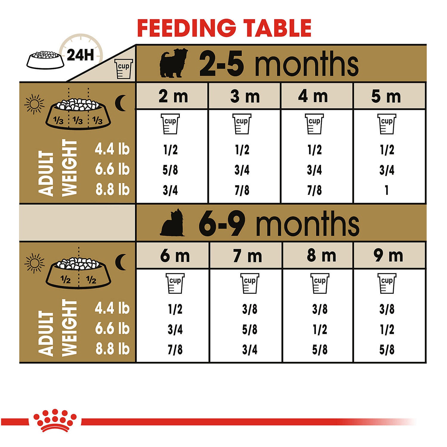 Royal Canin Breed Health Nutrition Yorkshire Terrier Puppy Dry Dog Food