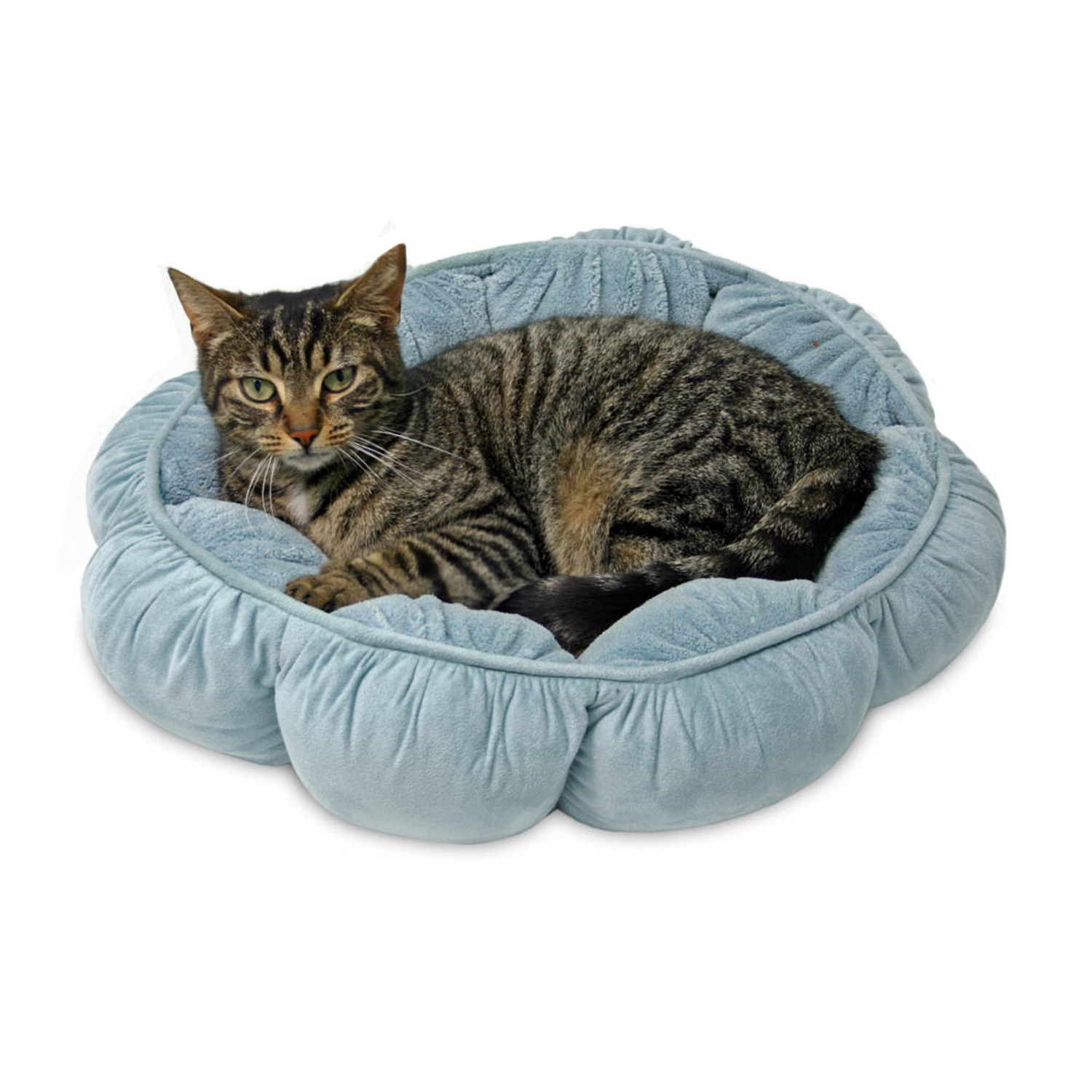 Aspen Pet Puffy Round Cat Cuddler Bed, 18" - Assorted Colors