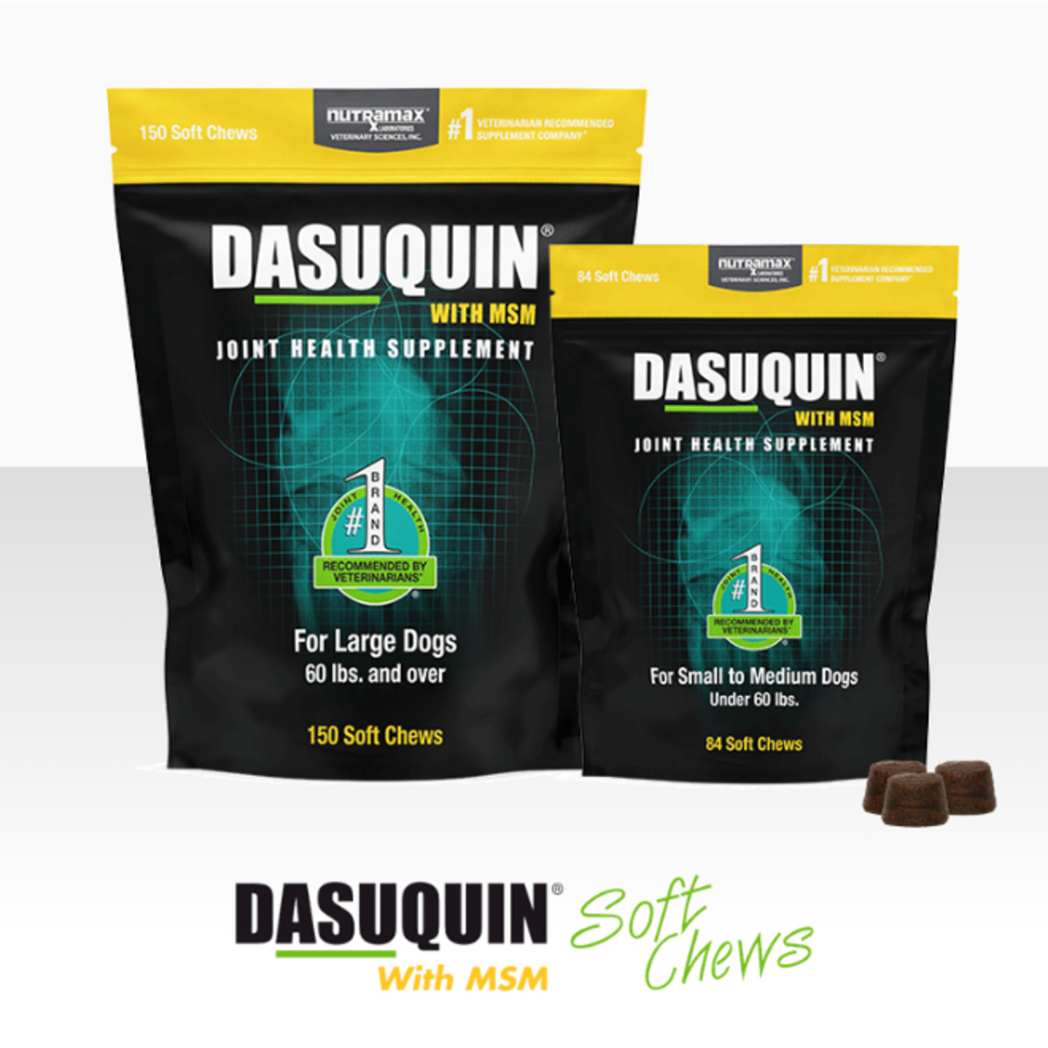 Nutramax Dasuquin Joint Health Soft Chew Dog Supplement