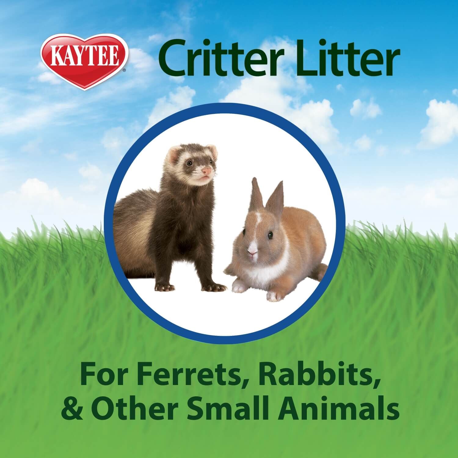 Kaytee Critter Litter Potty Training Litter, 4 Lb