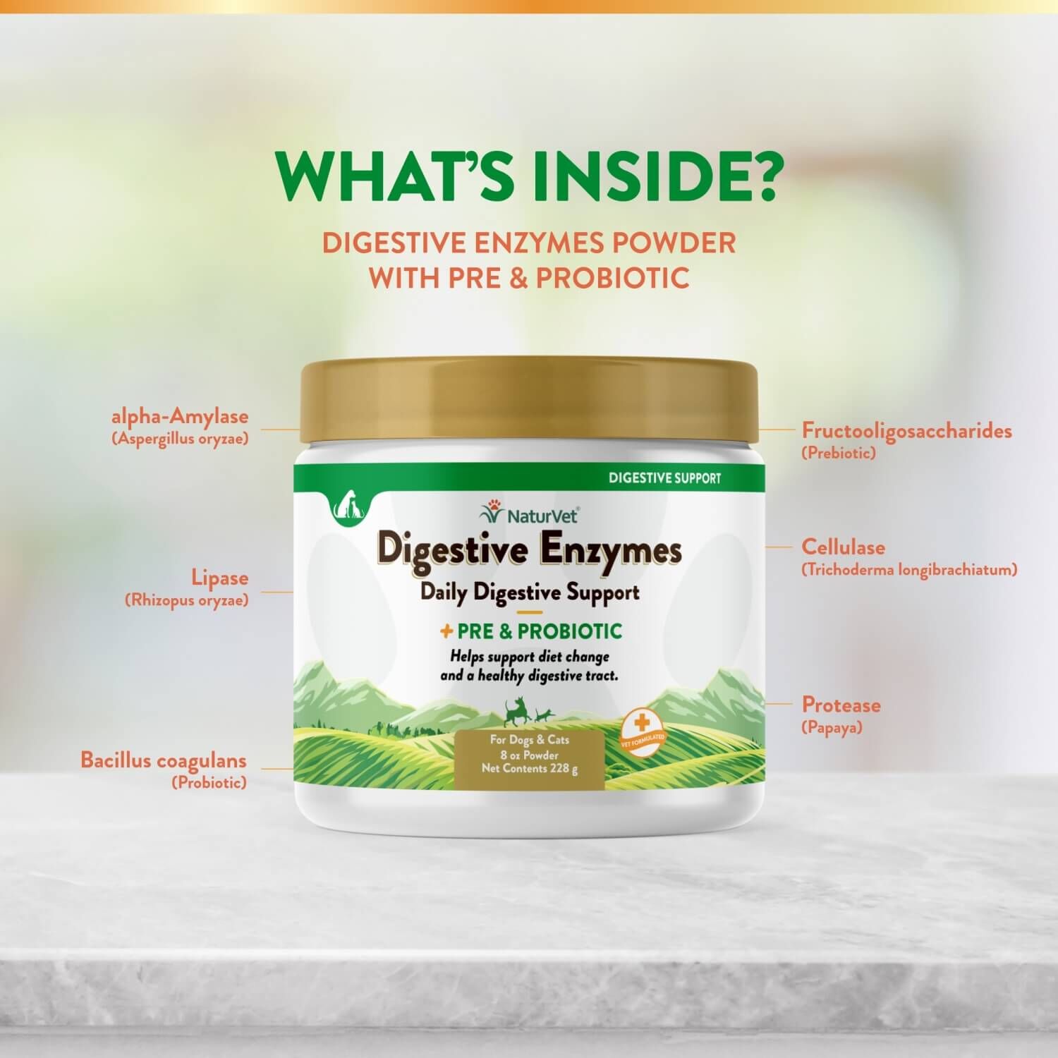 Naturvet Digestive Enzymes Plus Pre & Probiotics Powder Supplement For Dogs & Cats