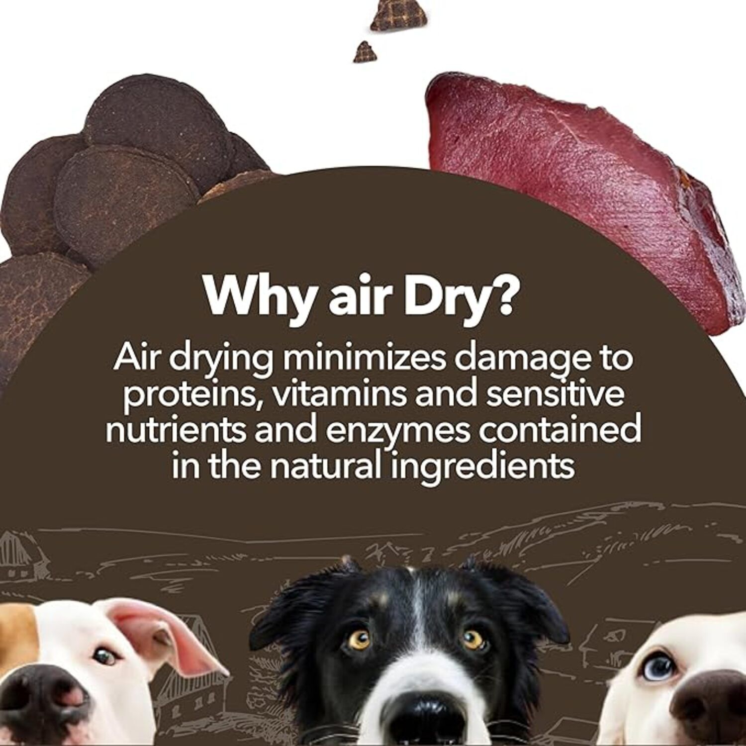 Gaines Family Farmstead Air-Dried Beef Chips Dog Treats, 6Oz