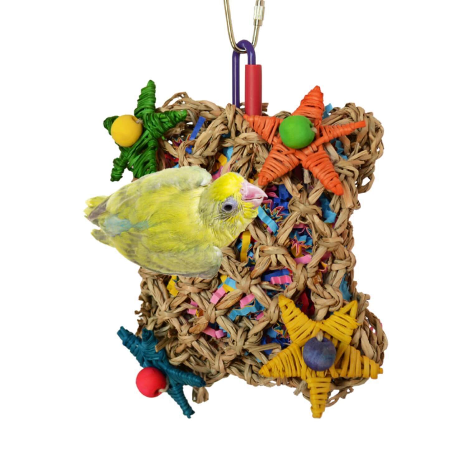Super Bird Pickin Pocket Bird Foraging Toy