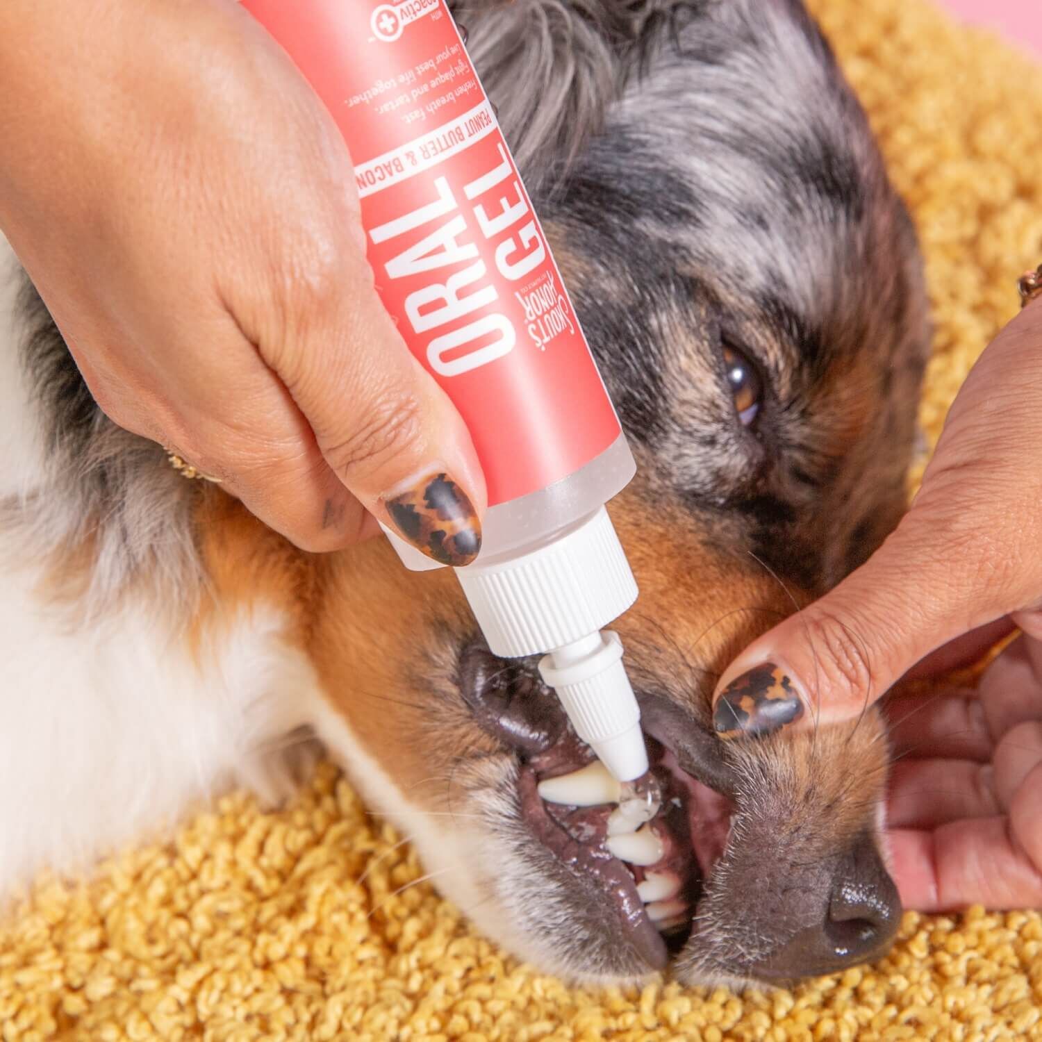 Skout's Honor Oral Care Gel For Dogs, Peanut Butter & Bacon Flavor, 4Oz