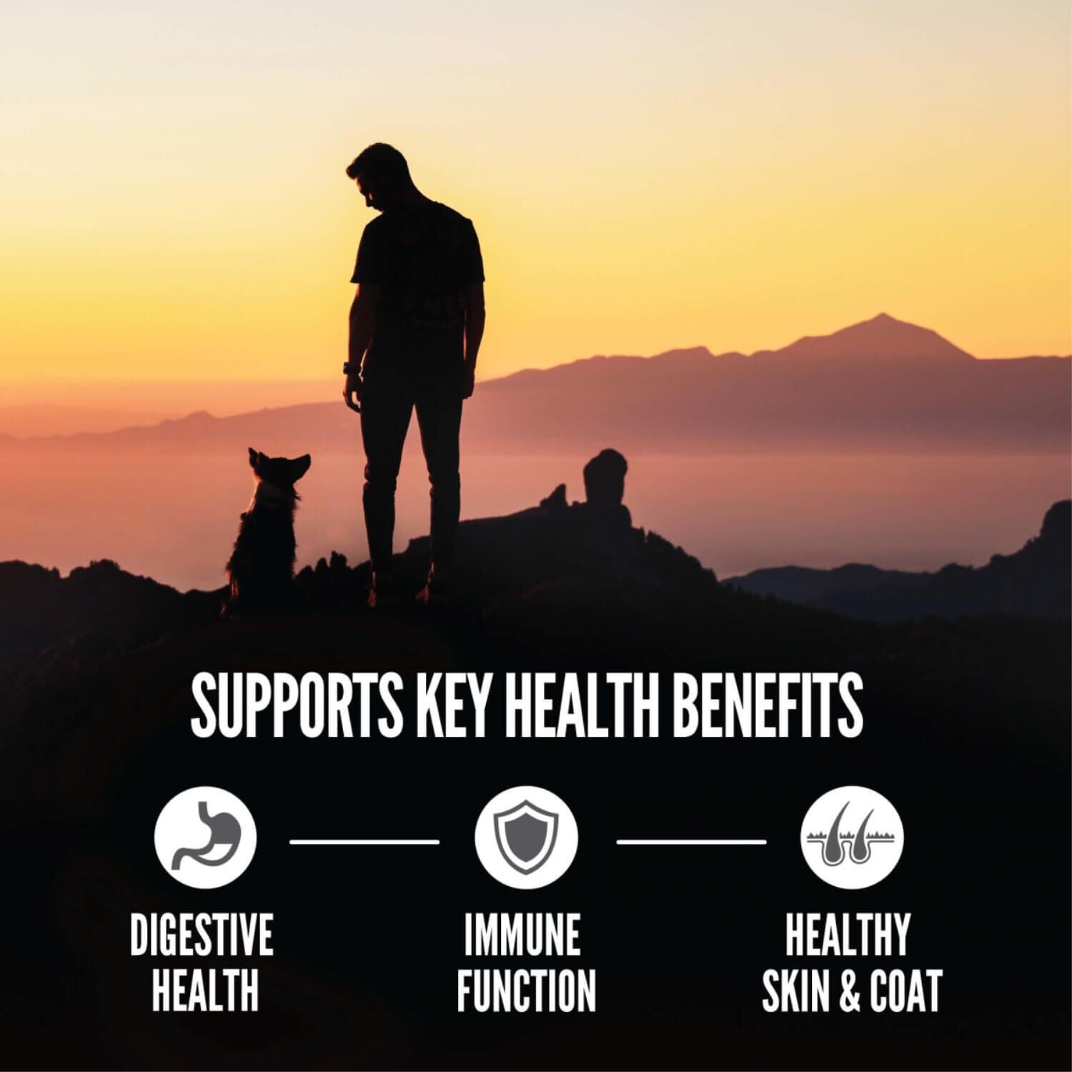 Orijen Amazing Grains High Protein Regional Red Dry Dog Food