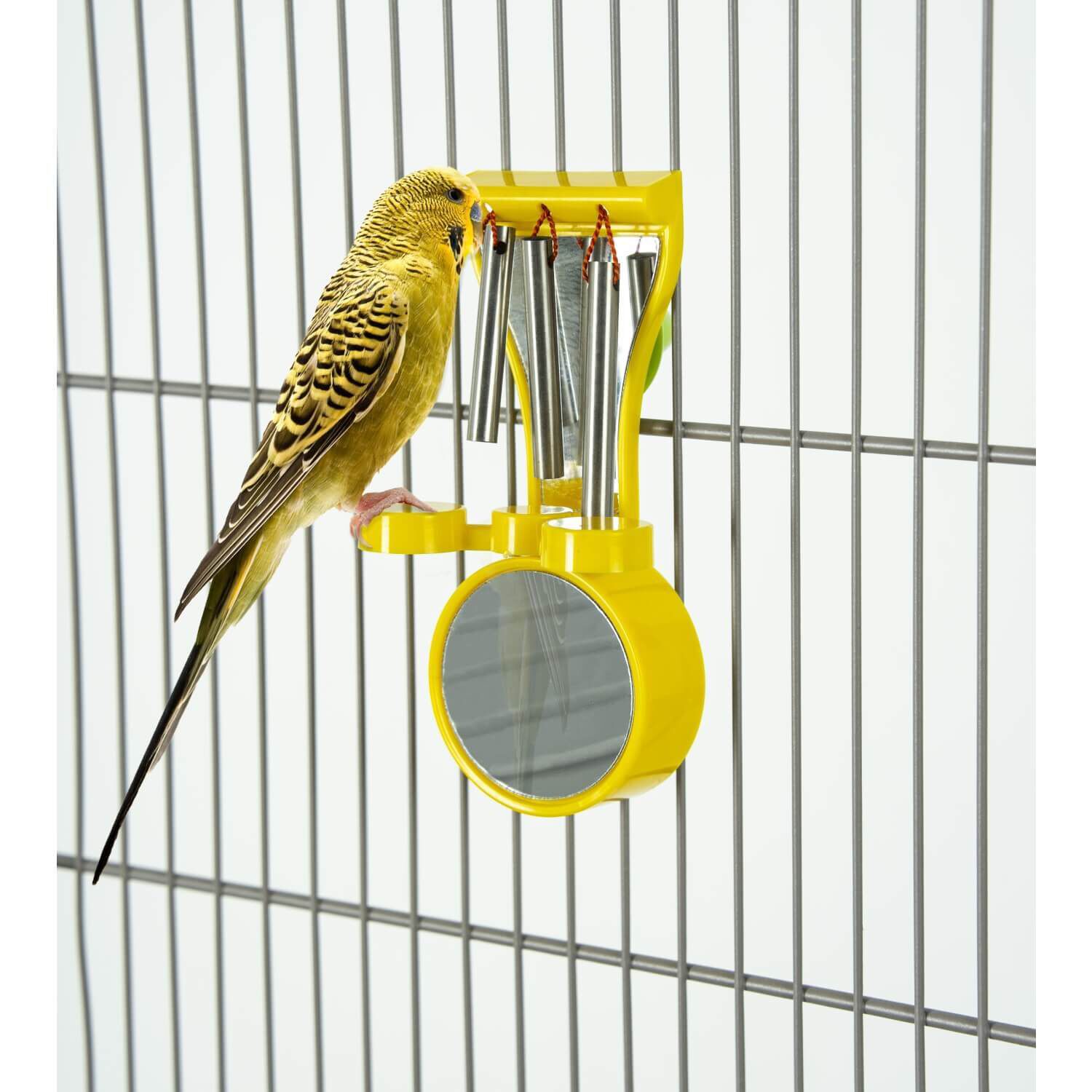 Featherland Paradise Cage Mount Drum And Chime Bird Toy
