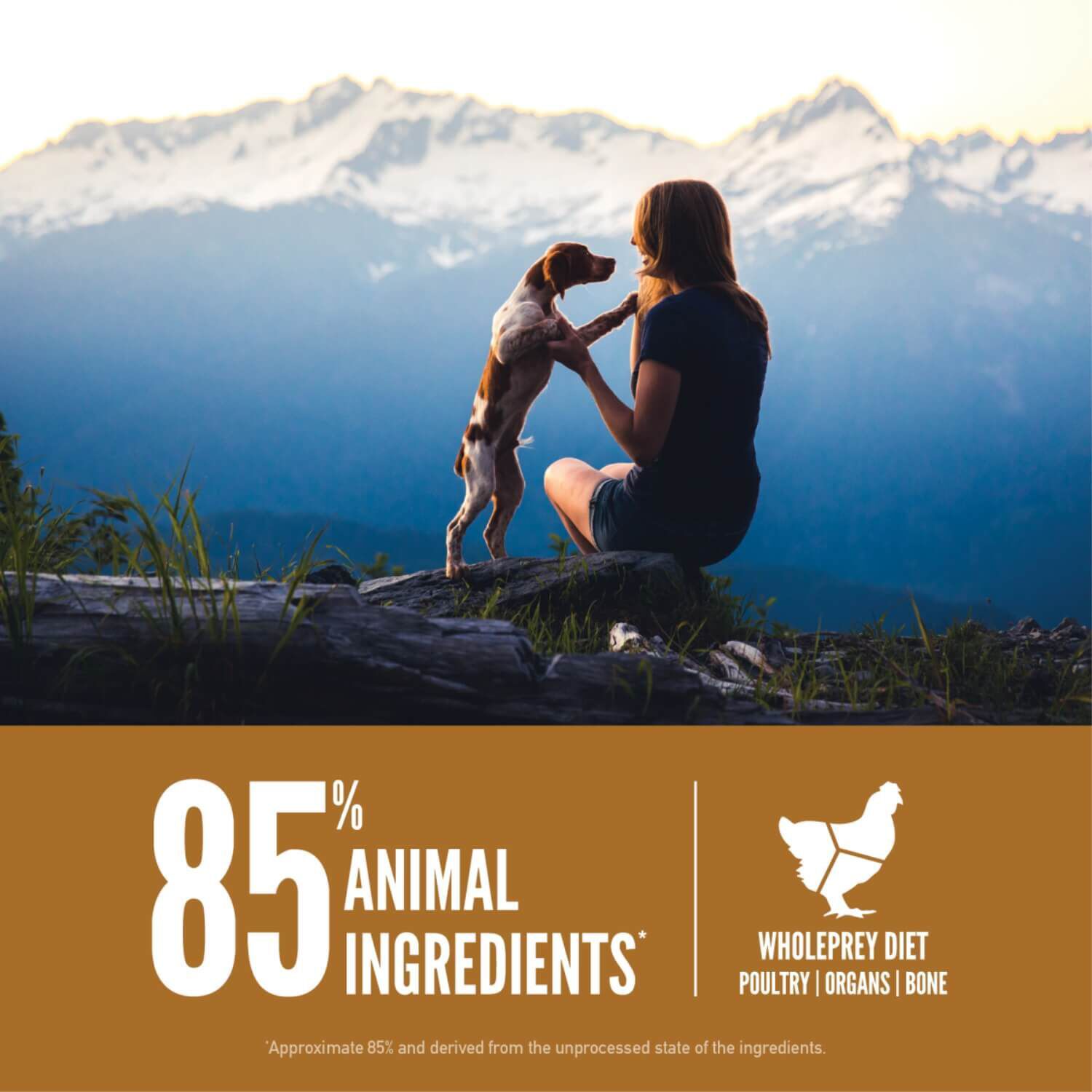 Orijen Puppy Grain Free Dry Dog Food