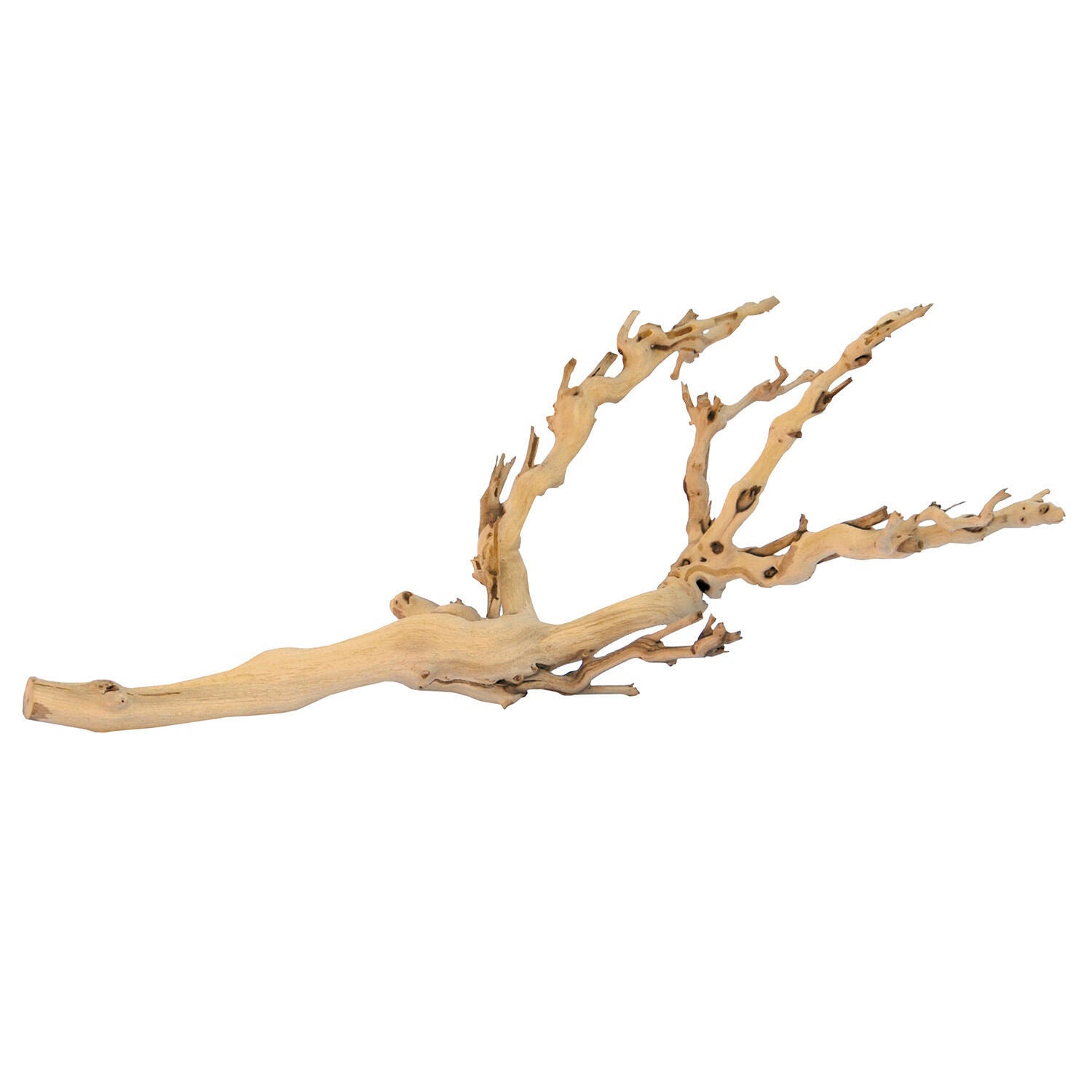 Exo Terra Forest Branch Reptile Terrarium D&eacute;cor