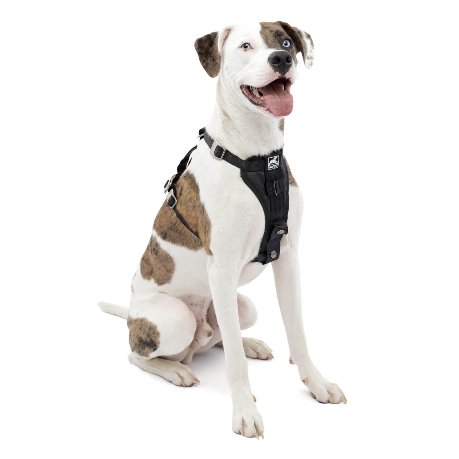 Kurgo Tru-Fit Smart Dog Harness, Enhanced Strength, Black
