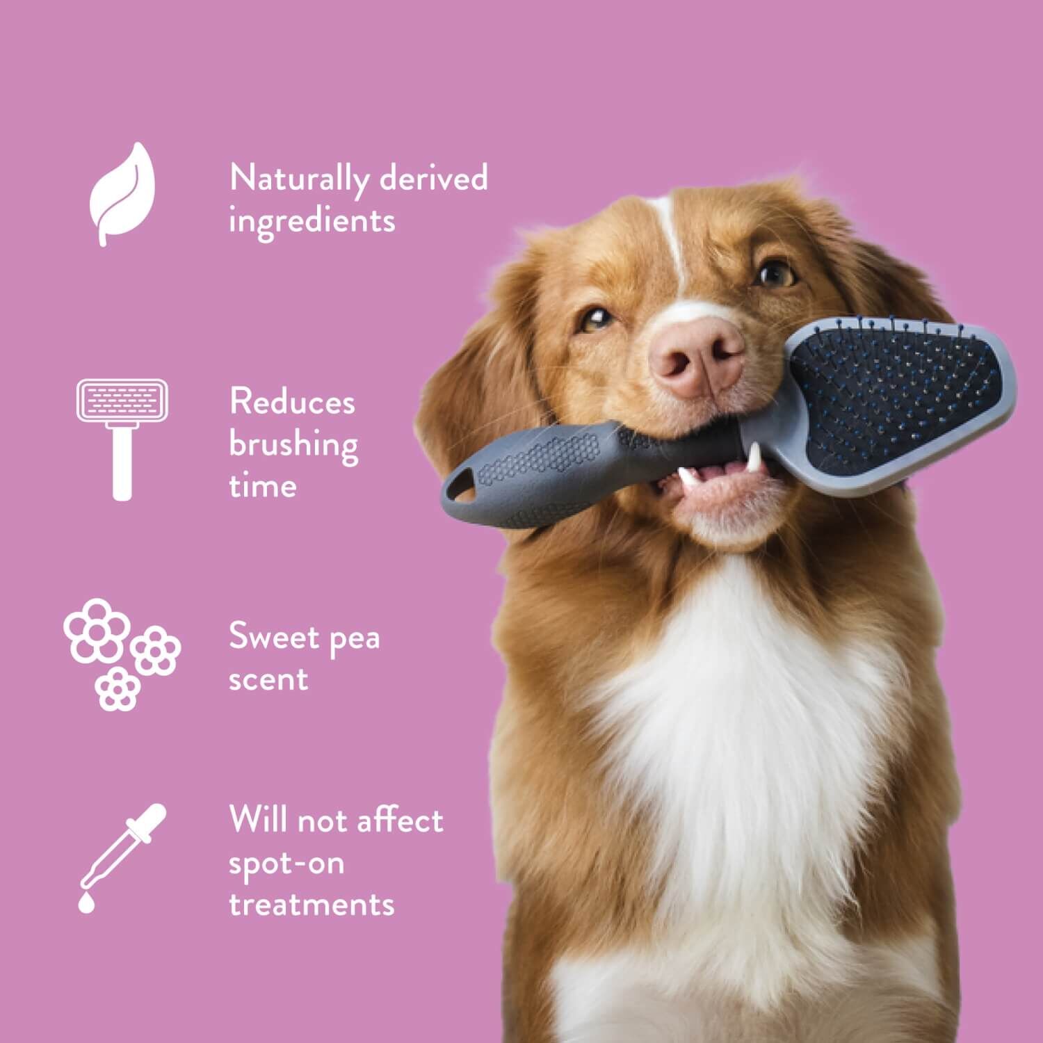 Tropiclean Sweet Pea Tangle Remover Spray For Dogs & Cats
