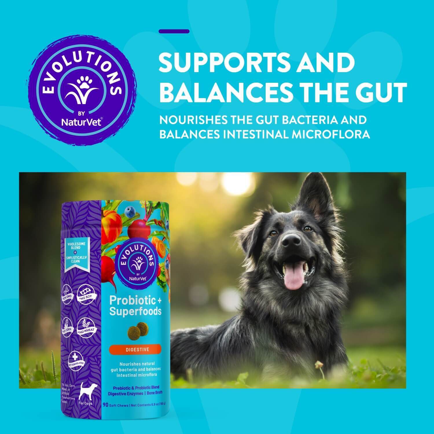 Naturvet Evolutions Probiotic + Superfoods Soft Chew Supplements For Dogs