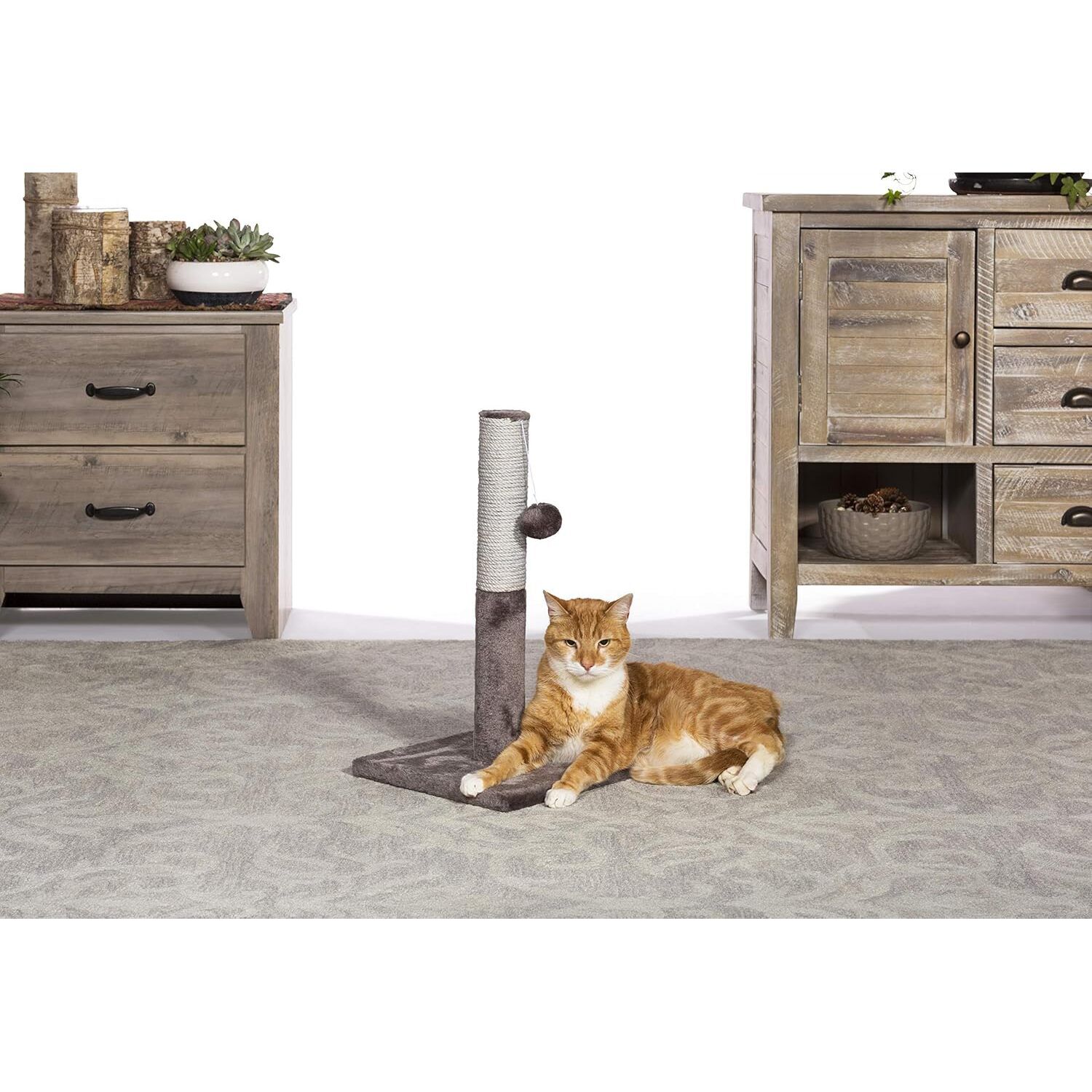 Prevue Pet Products Play & Scratch Toy Cat Scratching Post, 20.5" Brown