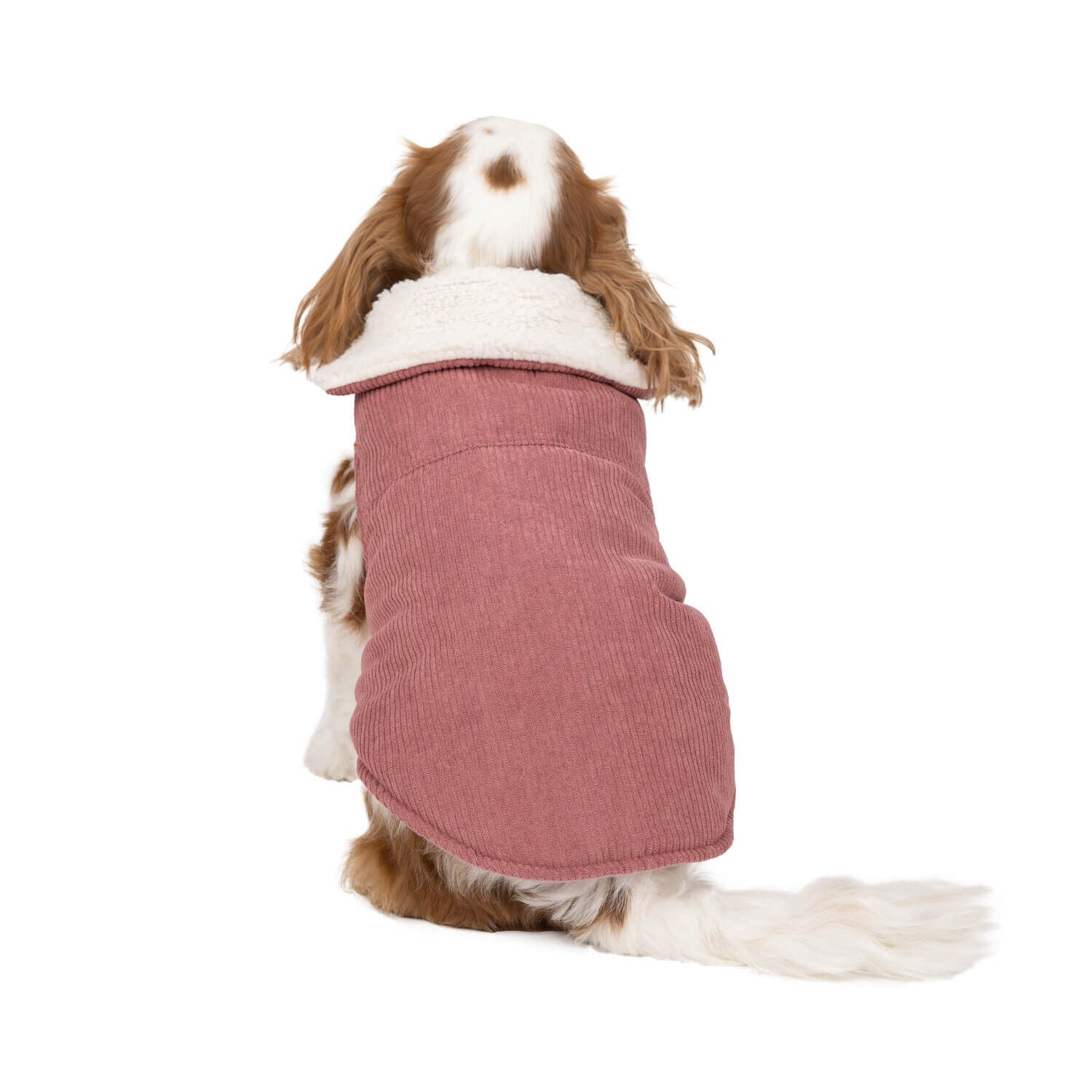 Simply Dog Pink Corduroy With Sherpa Collar Fall Dog Jacket