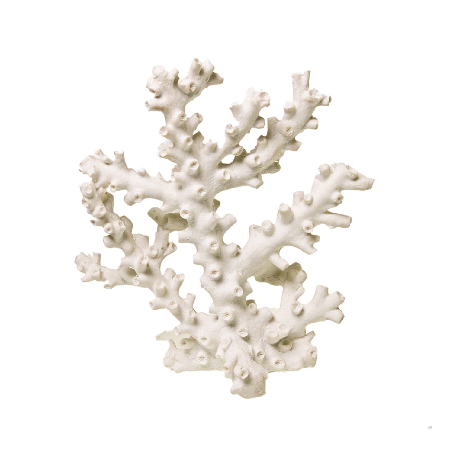 Blue Ribbon Exotic Environments Octopus Coral White Aquarium Ornament