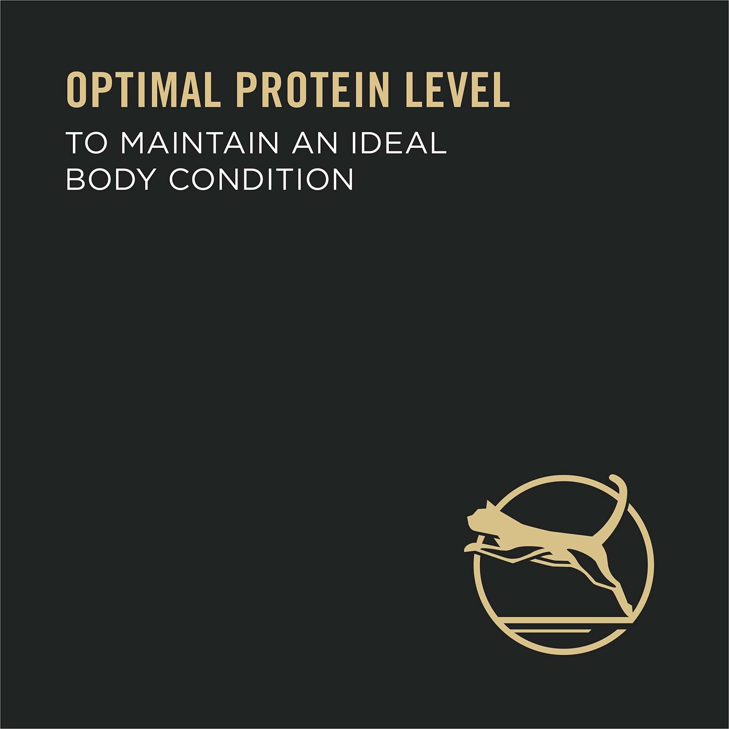 Purina Pro Plan High Protein Specialized Healthy Metabolism Formula Chicken Entr&eacute;e Wet Cat Food