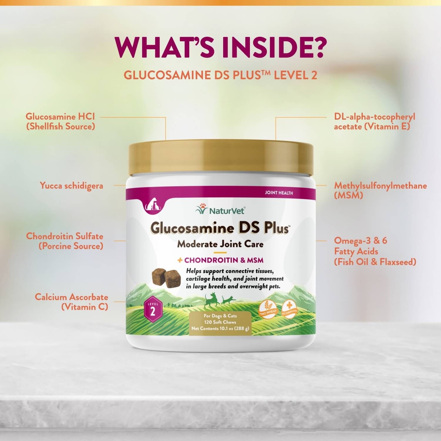 Naturvet Glucosamine Ds +Chondroitin & Msm Moderate Joint Care Soft Chew Supplements For Dogs & Cats