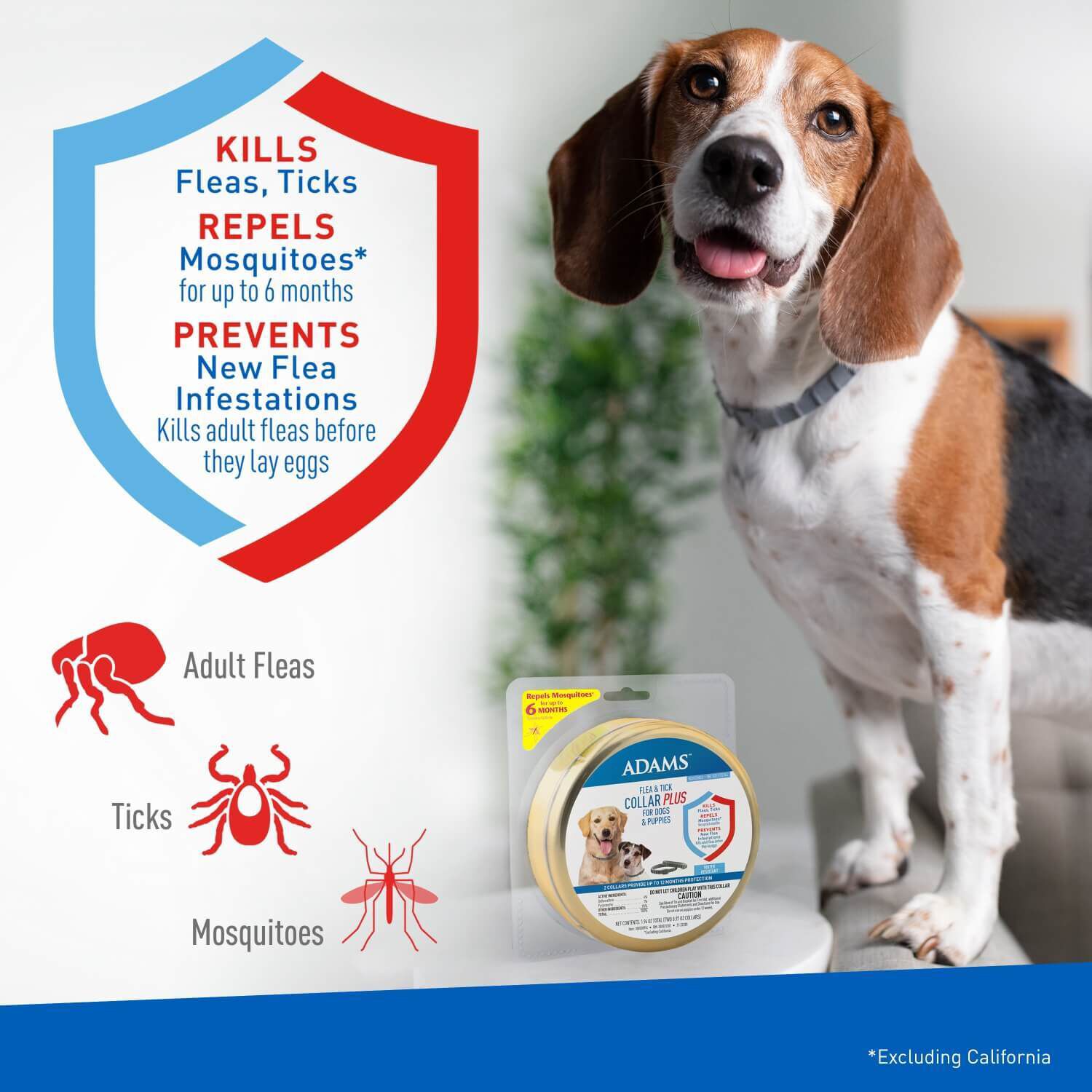 Adams Flea & Tick Collar Plus For Dogs & Puppies