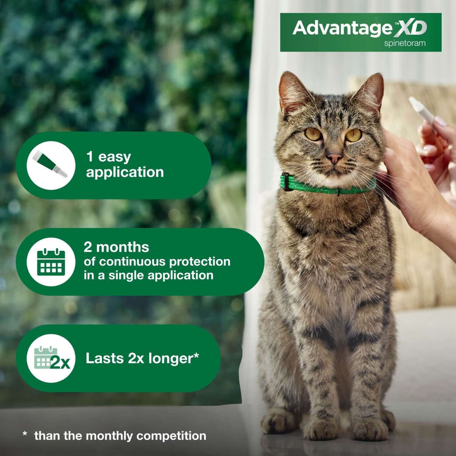 Advantage Xd Topical Flea Treatment & Prevention For Large Cats