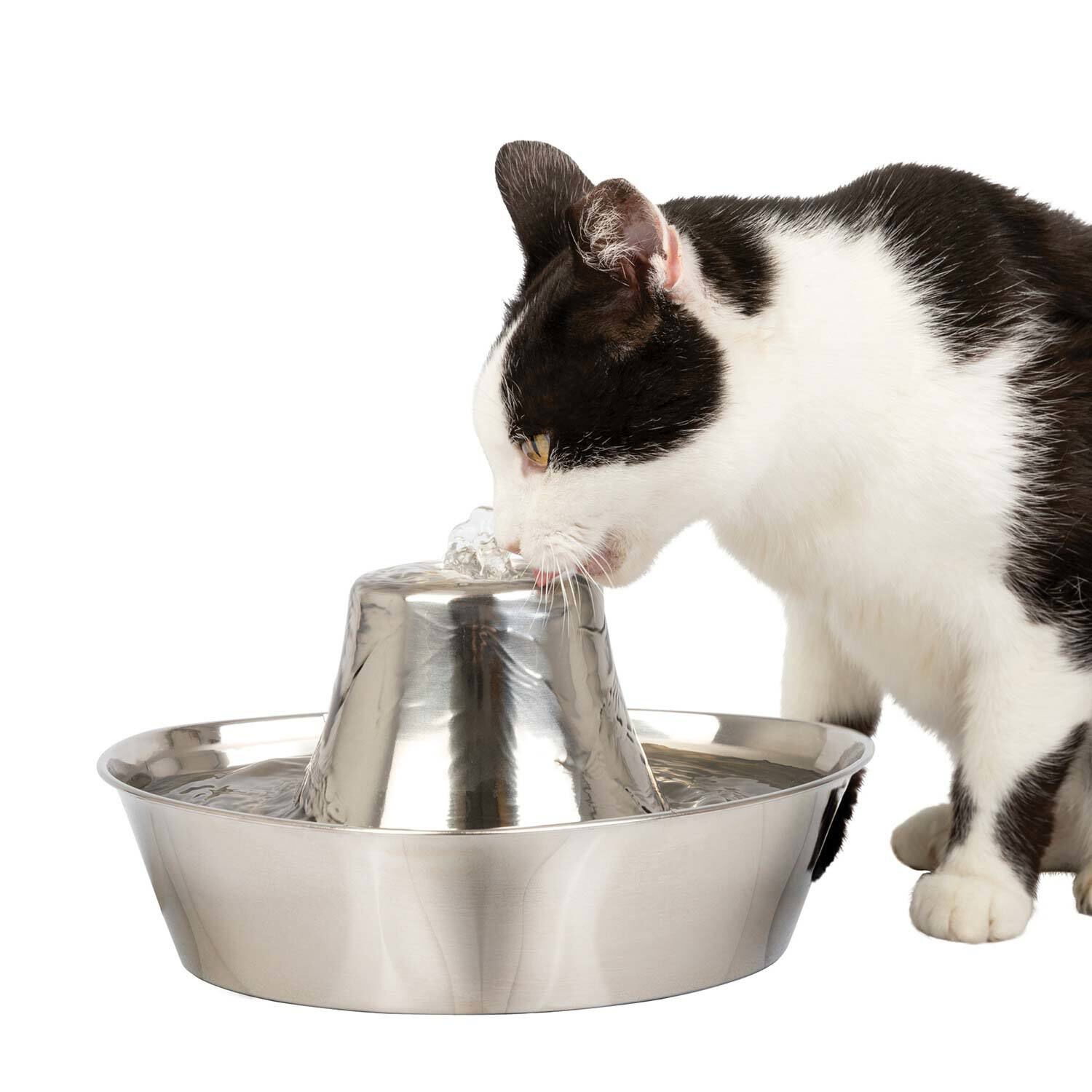 Petsafe Seaside Stainless Pet Fountain, 60 Oz