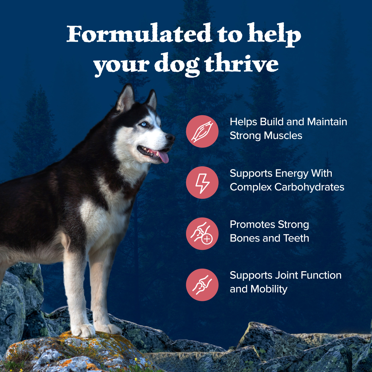 Blue Buffalo Wilderness High Protein Natural Adult Dry Dog Food Plus Wholesome Grains, Salmon, 13Lb