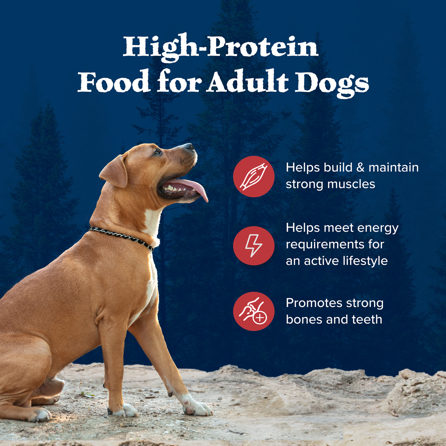 Blue Buffalo Wilderness Red Meat & Grains Rocky Mountain Recipe High-Protein Adult Dry Dog Food, 4.5-Lb