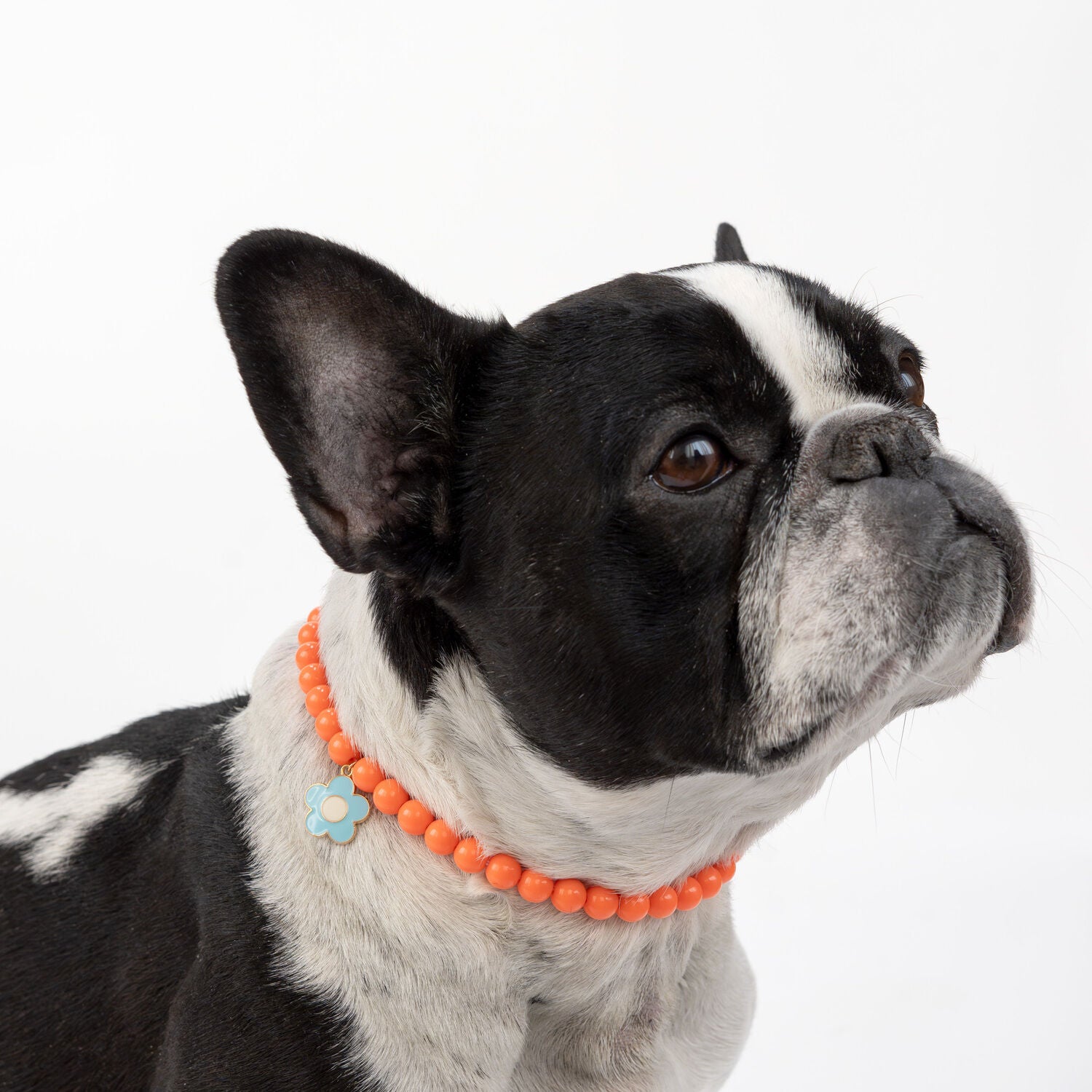 Simply Dog Orange Beads With Blue Charm Dog Necklace