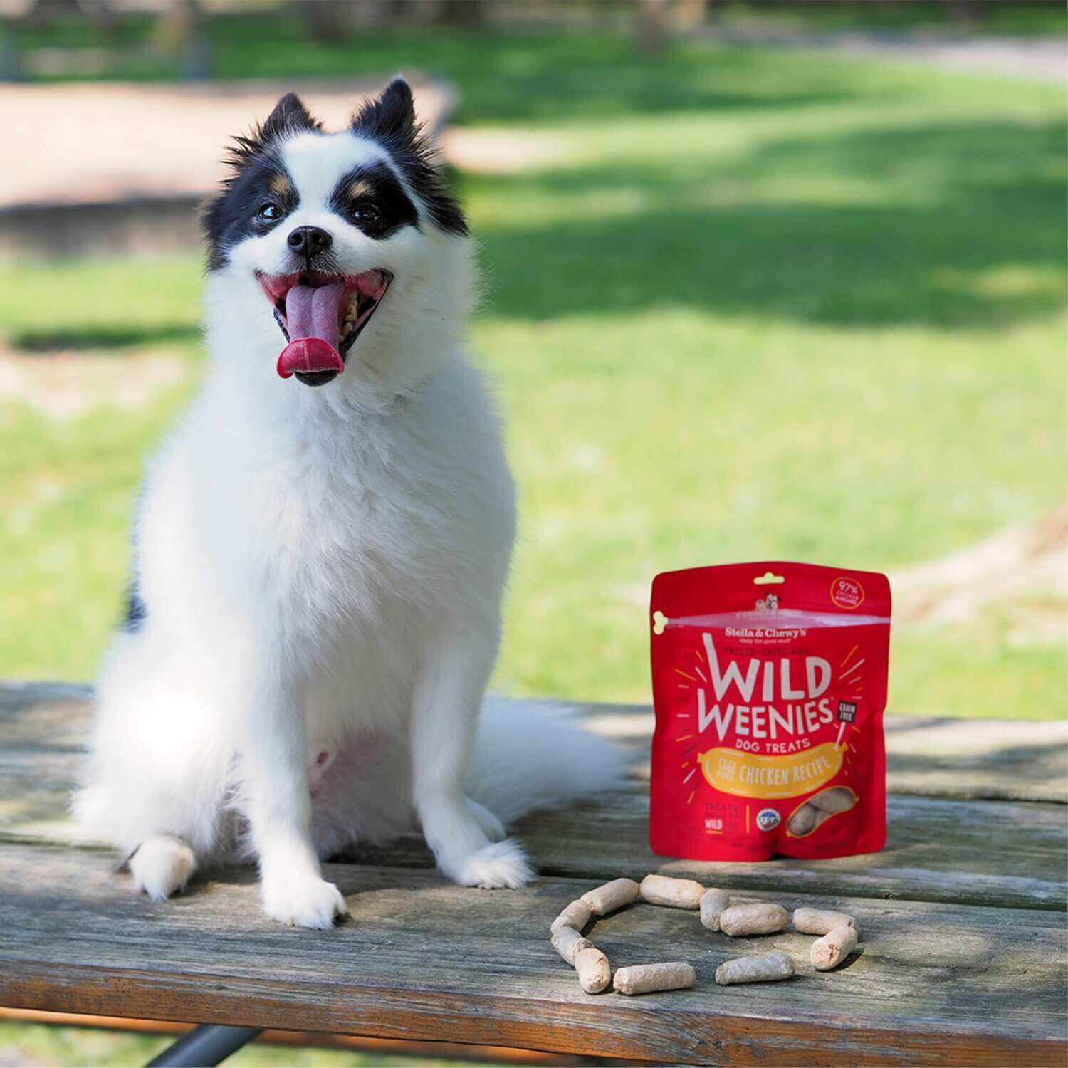 Stella & Chewy's Wild Weenies Freeze Dried Grain Free Dog Treats, Cage Free Chicken Recipe