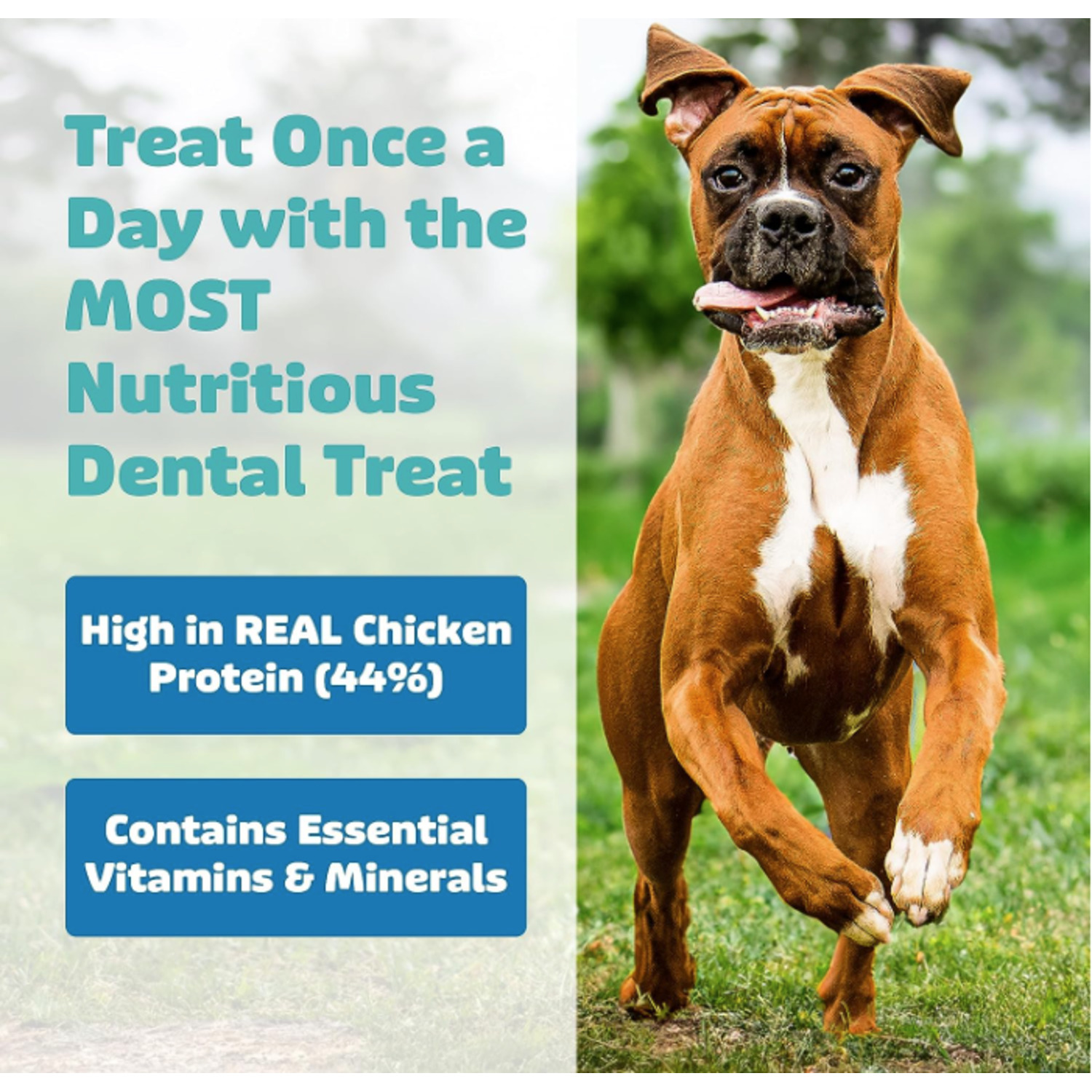 Yummy Combs Adult Small Dog Dental Treats, Chicken, 2 Pack