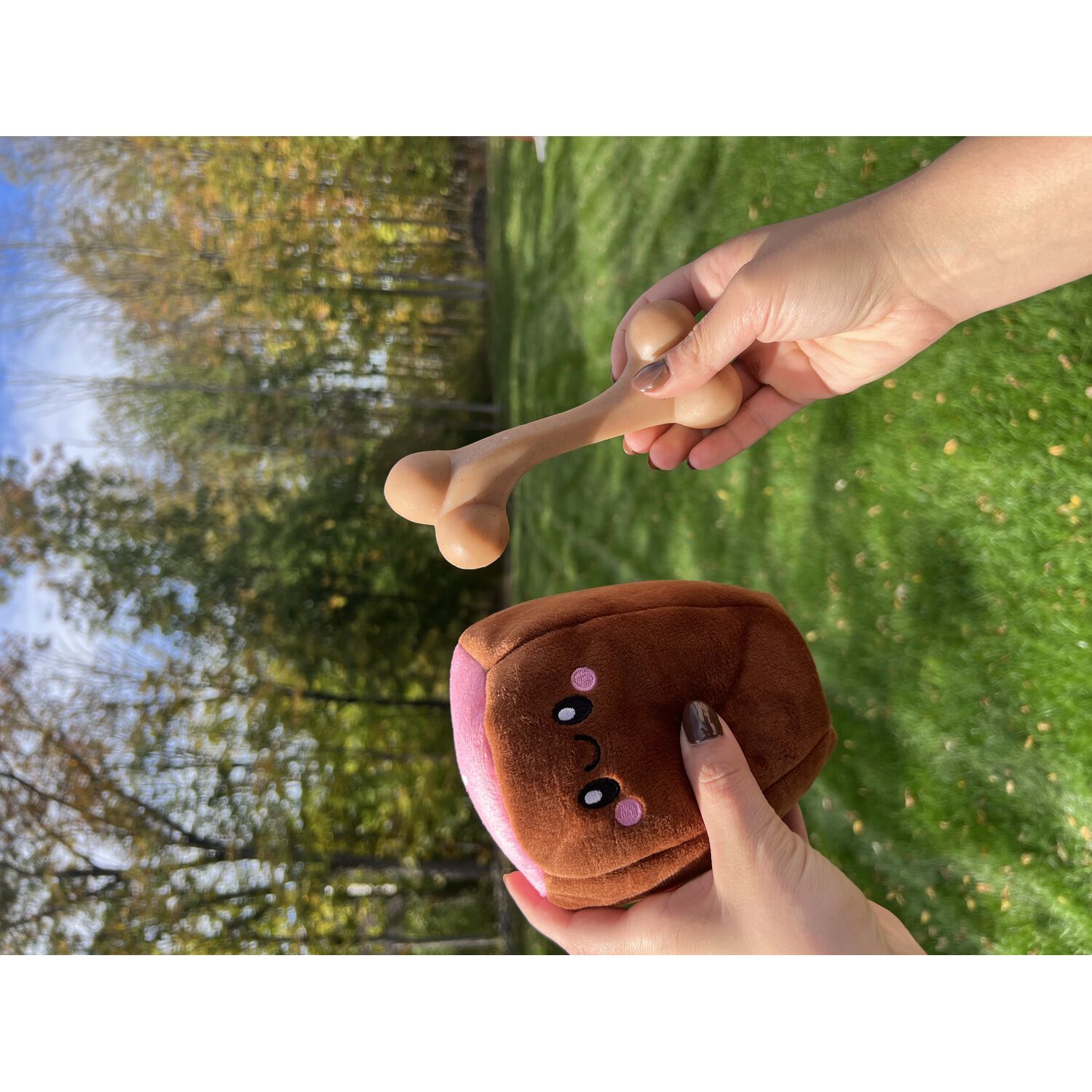 Territory Ham Bone 2-In-1 Squeak & Chew Scented Dog Toy, 8"