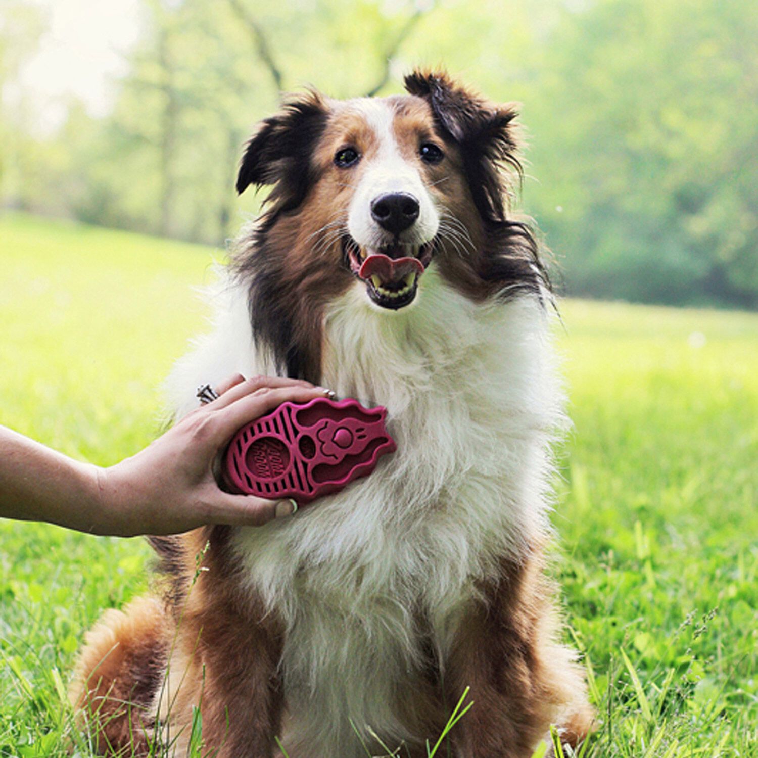 Kong Zoomgroom Raspberry