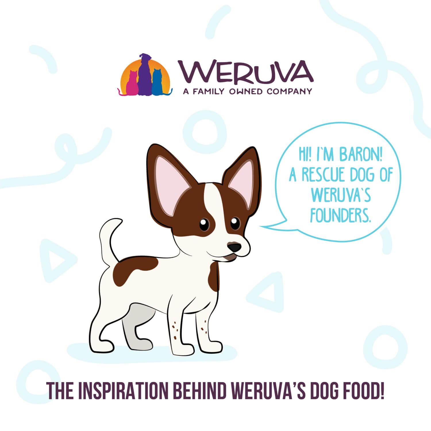 Weruva Dog Meals 'N More Natural Funky Chunky Recipe Plus Skin & Coat Health Wet Dog Food