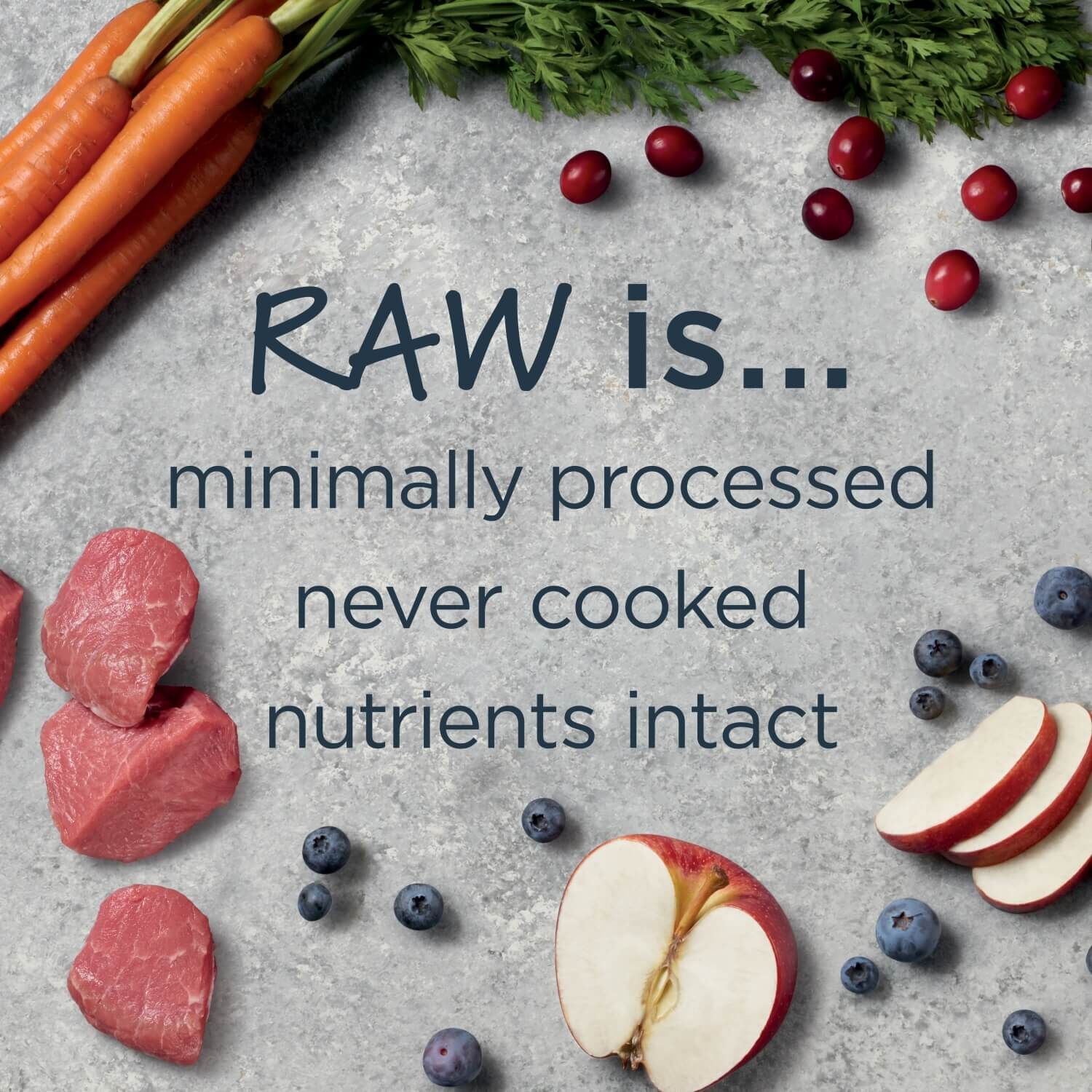 Instinct Raw Boost Whole Grain Real Lamb & Oatmeal Recipe Dry Dog Food, 3.5-Lb