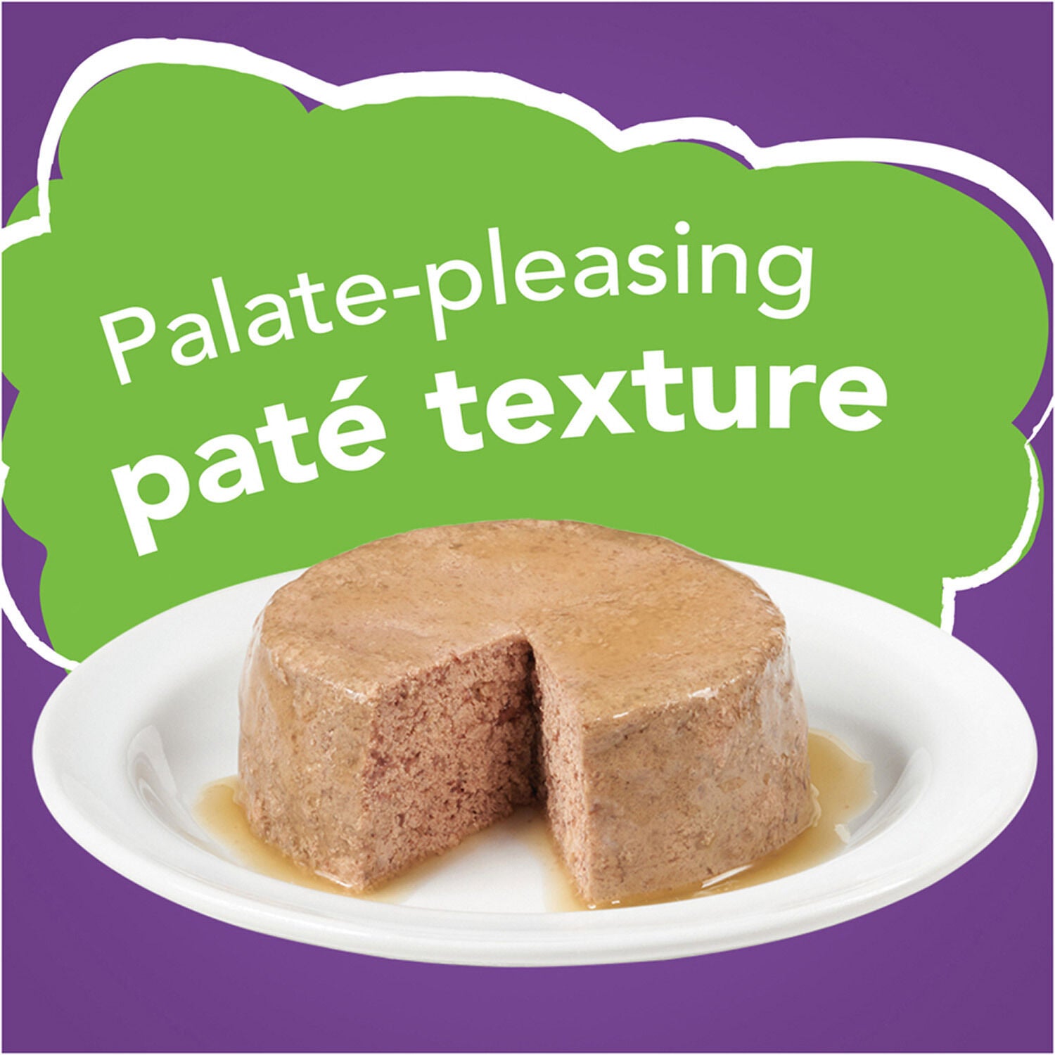Friskies Turkey & Giblets Pate Wet Cat Food