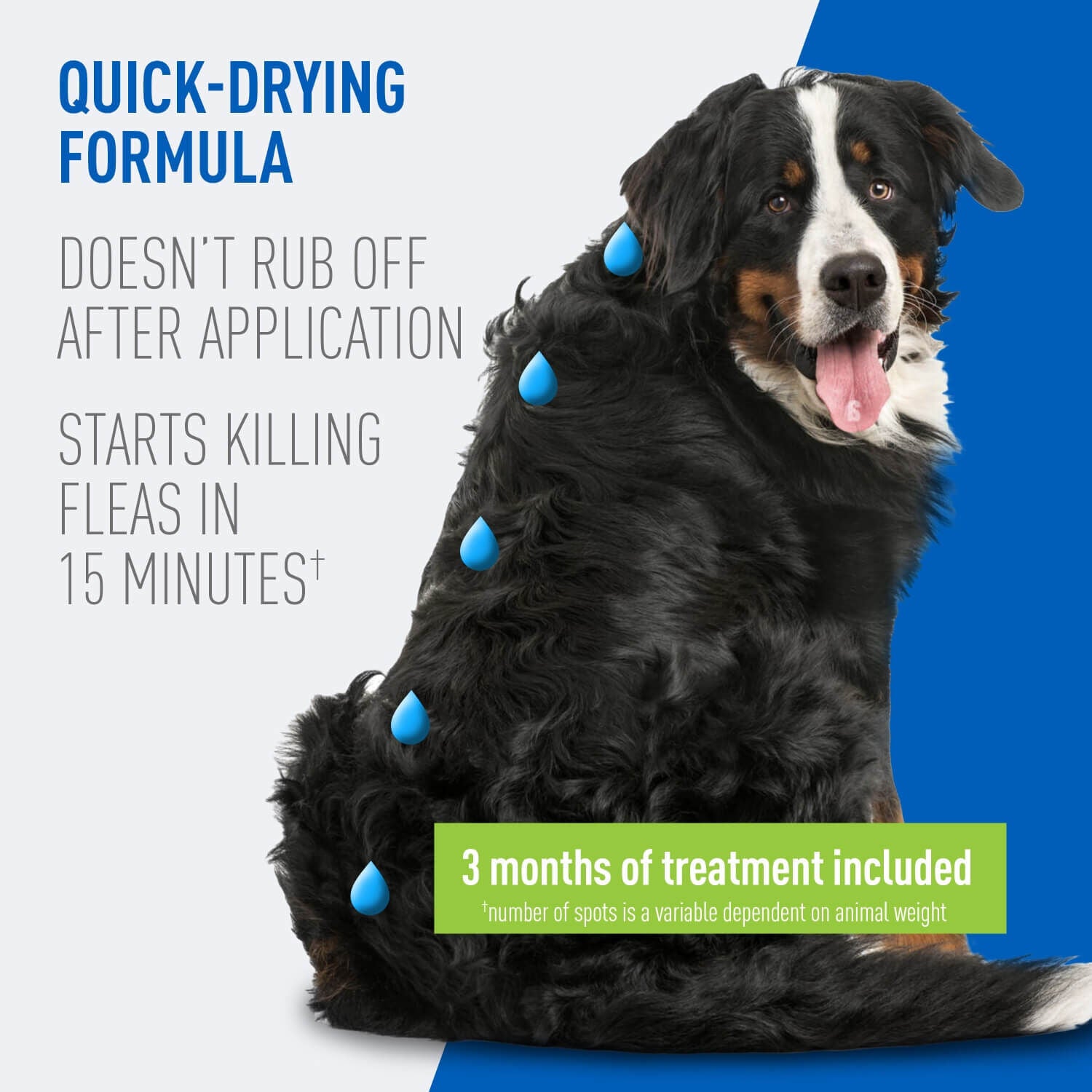 Adams Plus Flea & Tick Prevention Spot On For Dogs, X-Large Dogs 61-150 Lbs