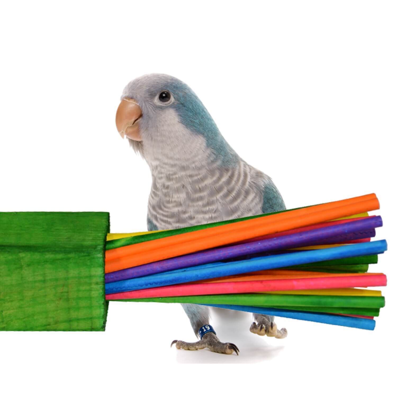 Super Bird Creations Chewable Paper Party Bird Toy