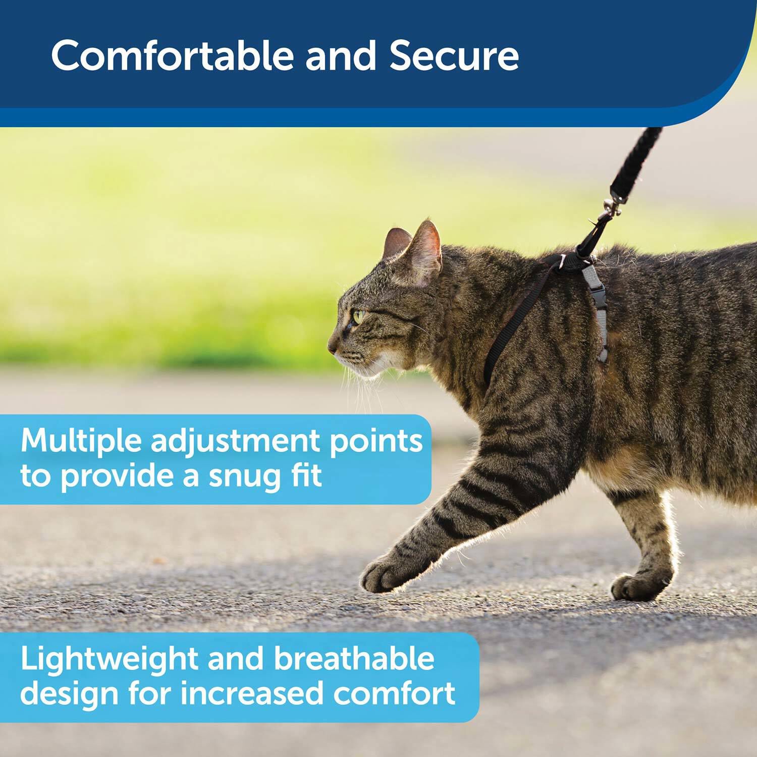 Petsafe Come With Me Kitty&trade; Cat Harness And Bungee Leash, Black