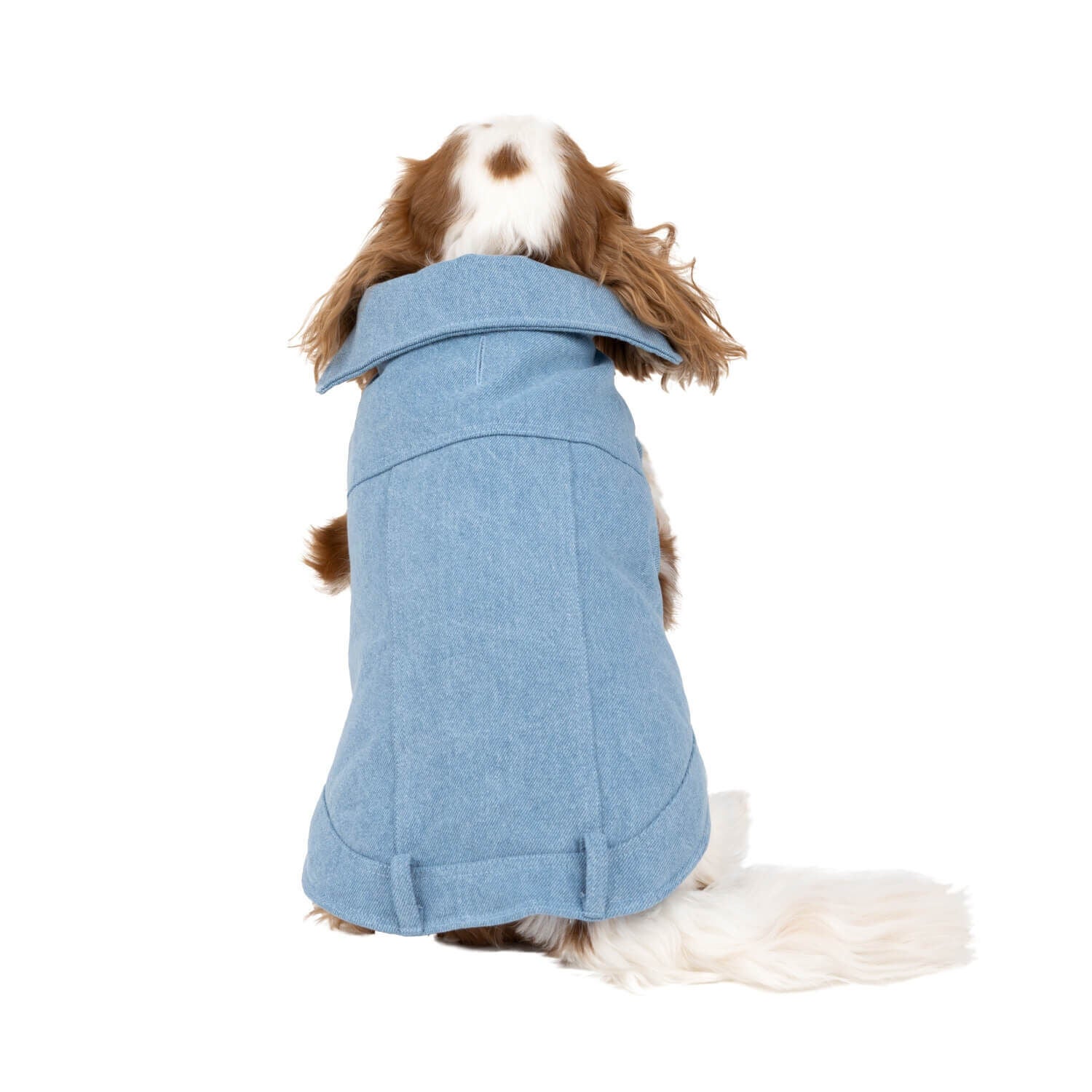 Simply Dog Collared Denim Trucker Lined Dog Jacket