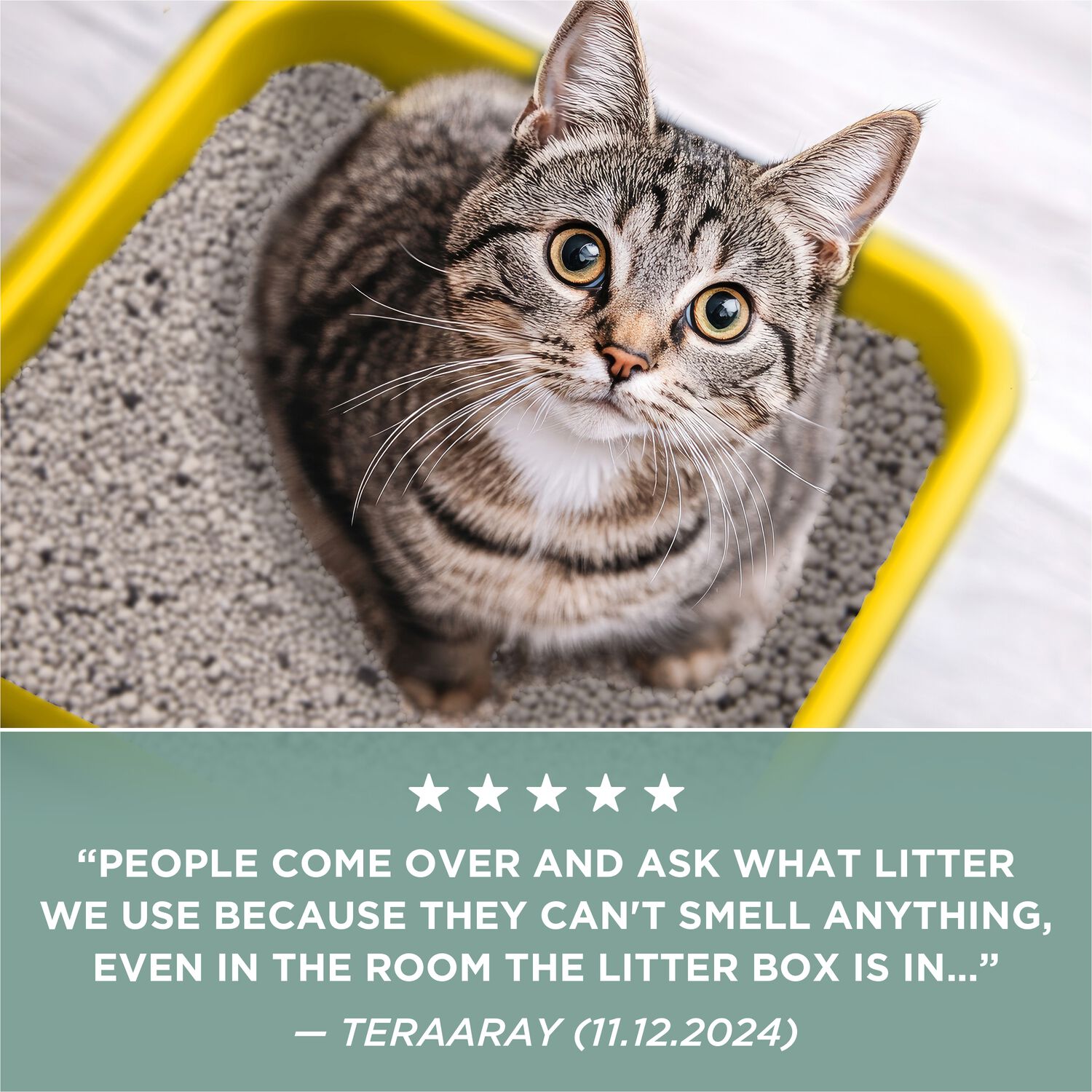 Purina Tidy Cats Light Weight Free And Clean Unscented, Multi-Cat, Clumping, 99.9 Percent Dust Free Cat Litter, 17=Lb Pail