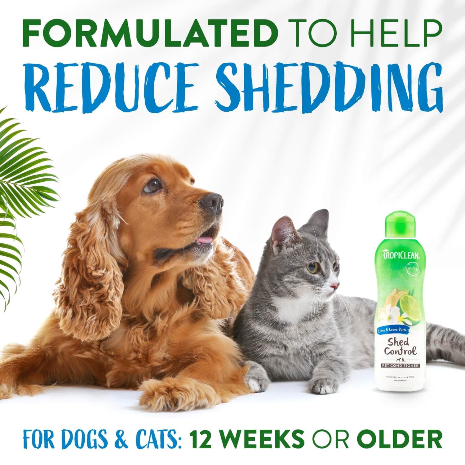 Tropiclean Lime & Cocoa Butter De-Shedding Dog & Cat Conditioner