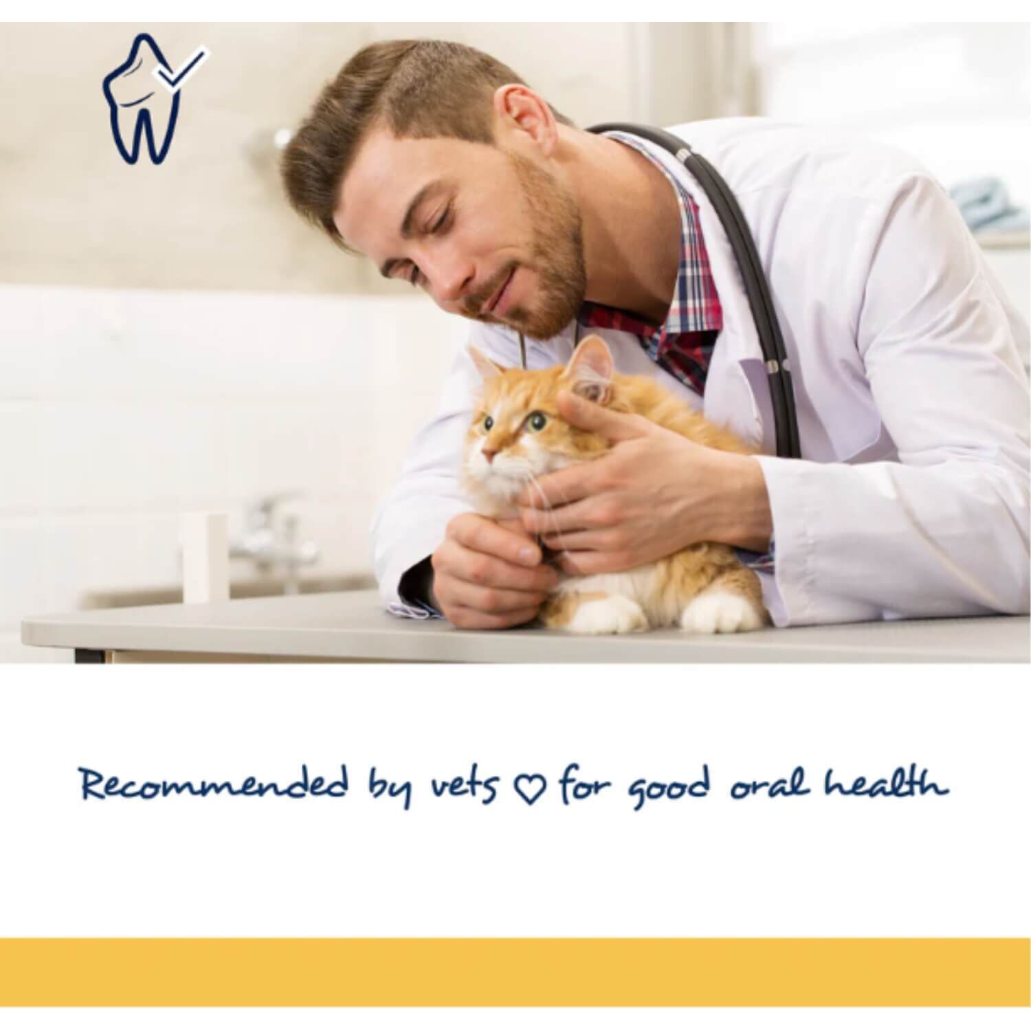 Proden Plaque Off Soft Chews Cat Dental Chews