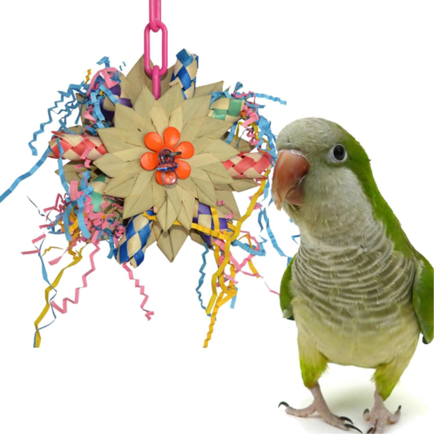Super Bird Creations Pinwheel Bird Toy